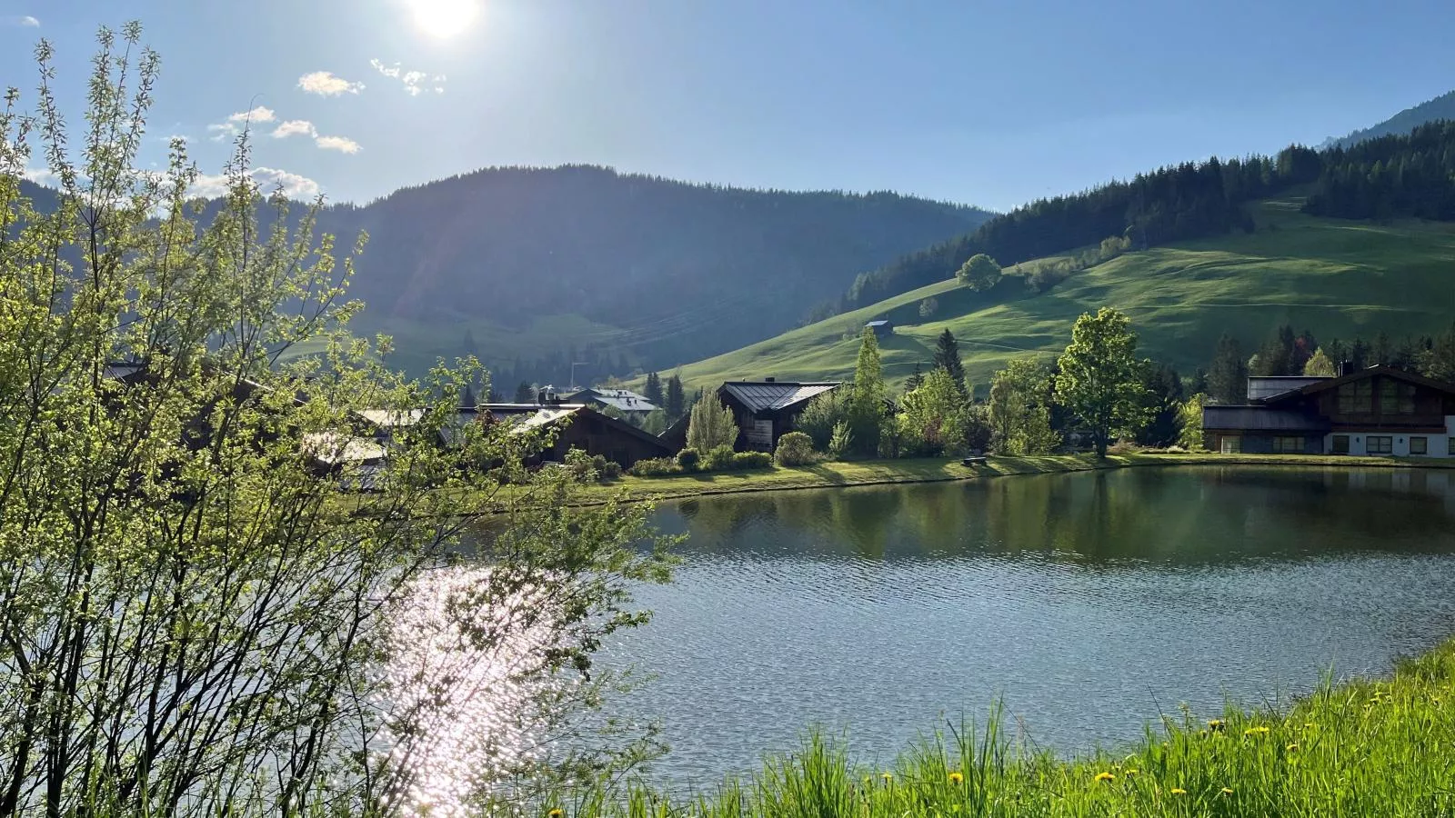 Jungfrau-Gebieden zomer 1km