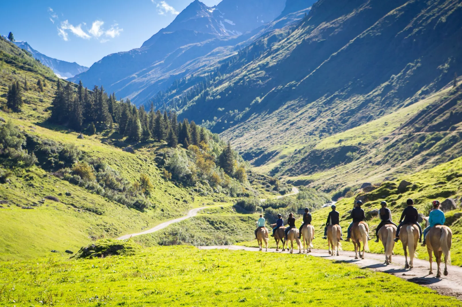 Apart Söllberg-Gebieden zomer 5km