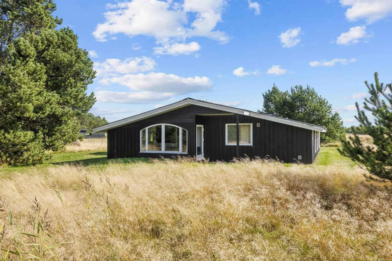 5 sterren vakantie huis in Jerup