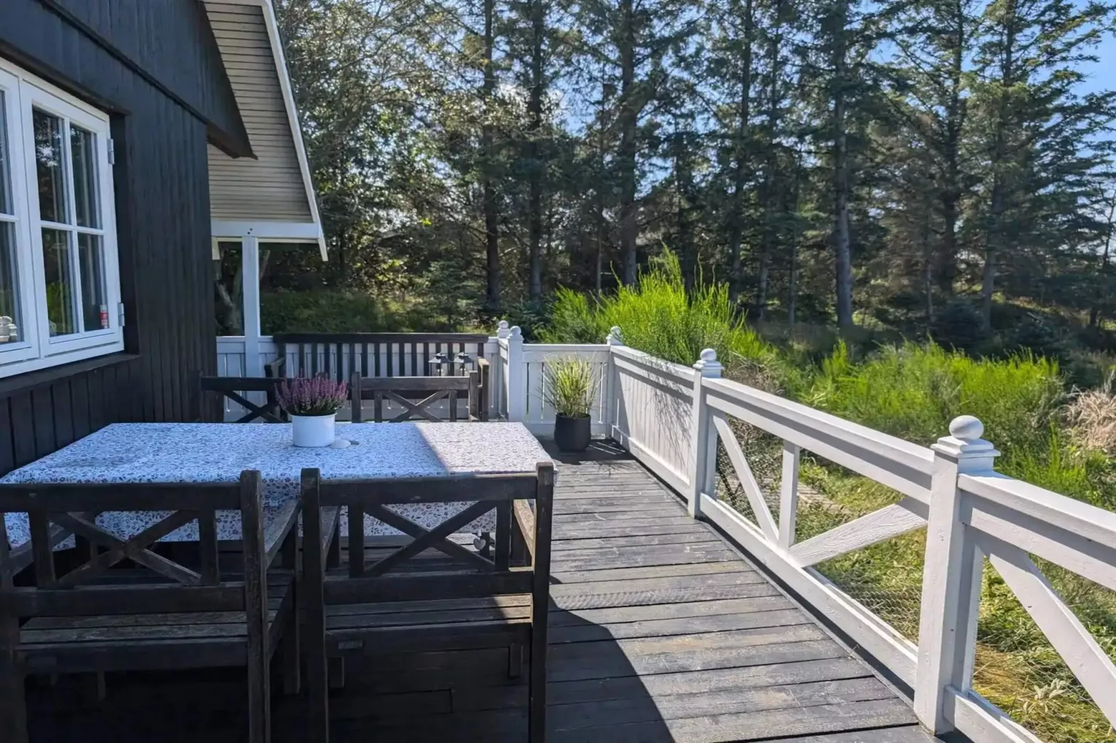 5 sterren vakantie huis in Blokhus