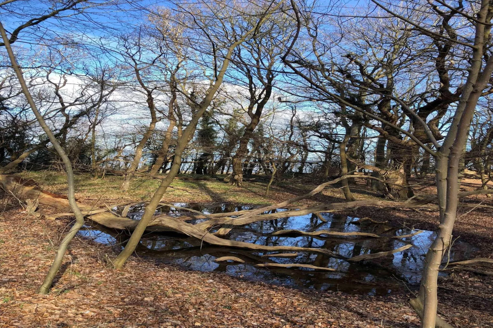 5 sterren vakantie huis in Tranekær
