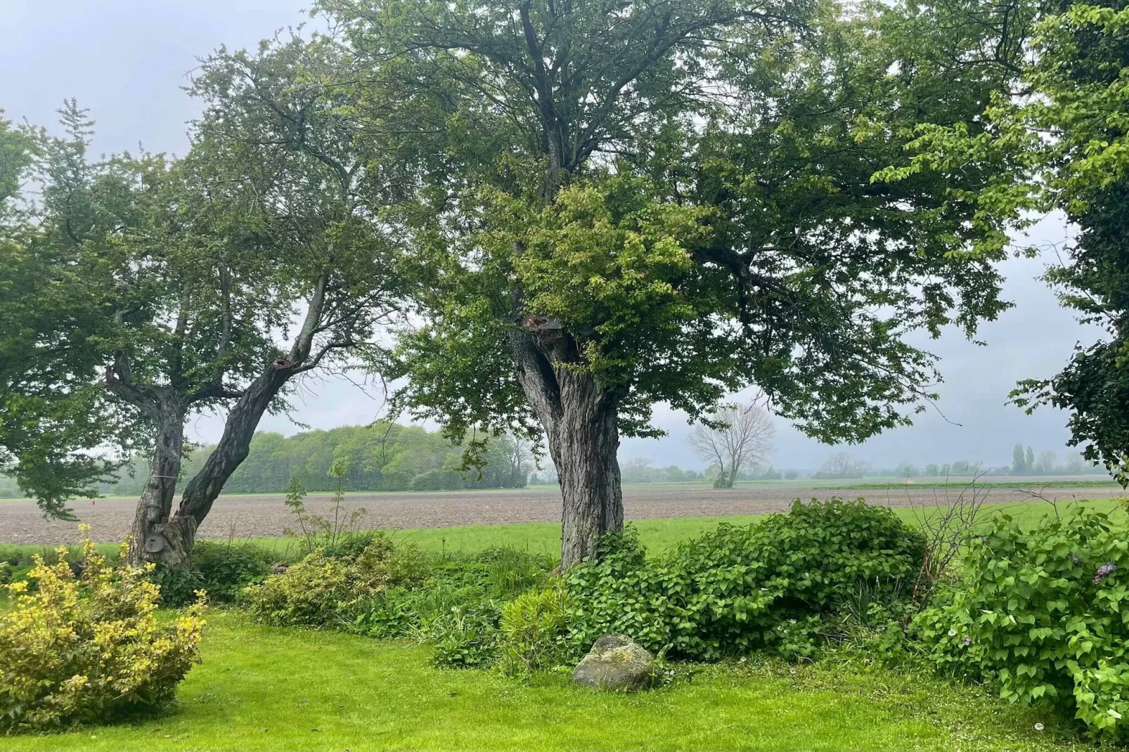 5 sterren vakantie huis in Stokkemarke