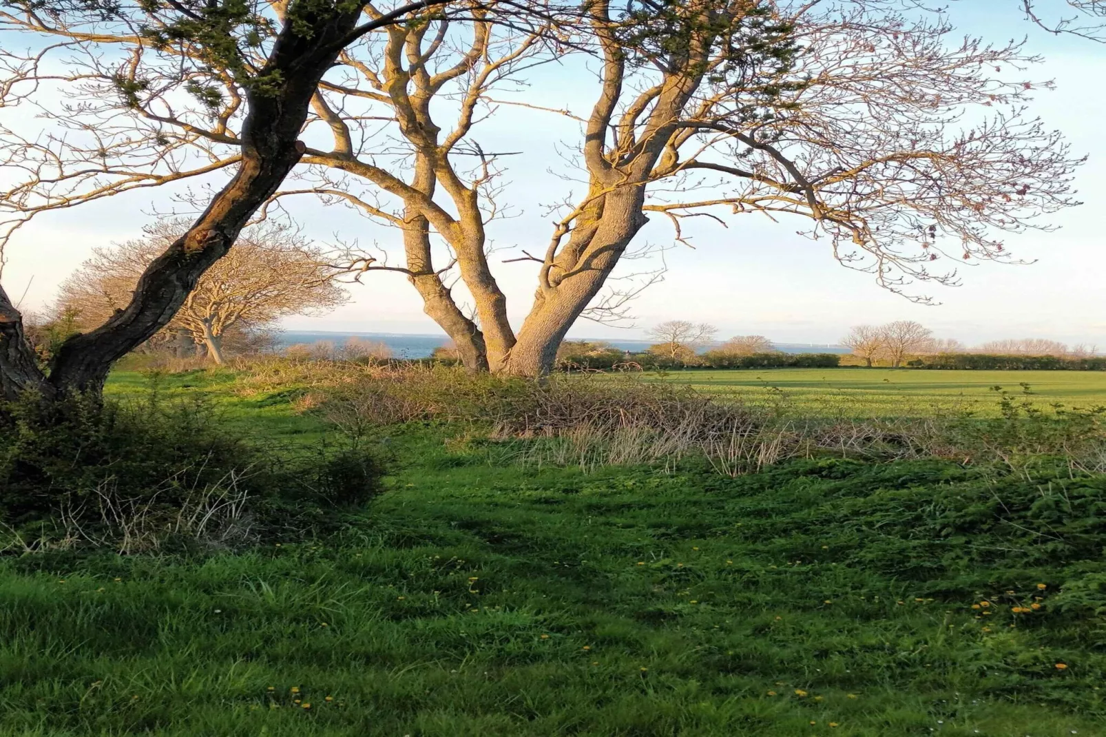 5 sterren vakantie huis in Ærøskøbing