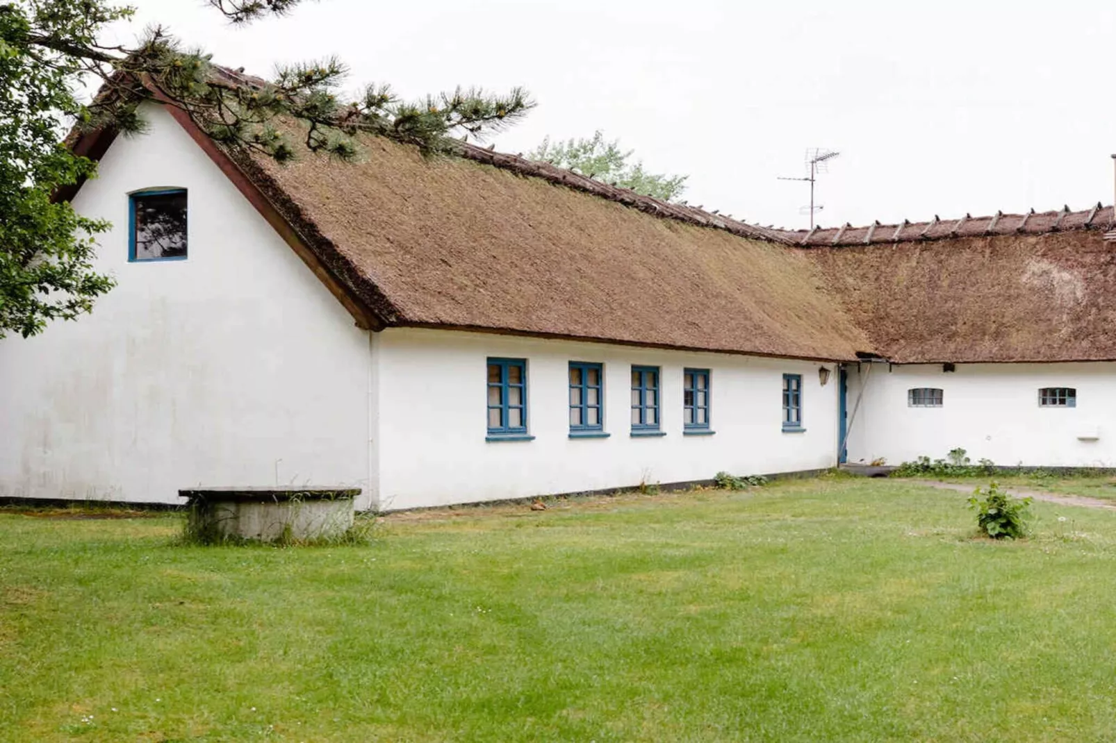 5 sterren vakantie huis in Vig