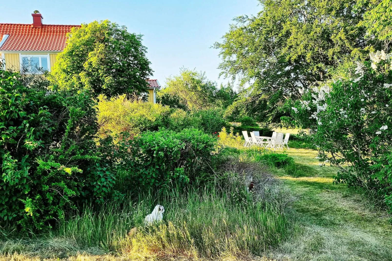 8 persoons vakantie huis in Moheda-By Traum-Buitenlucht