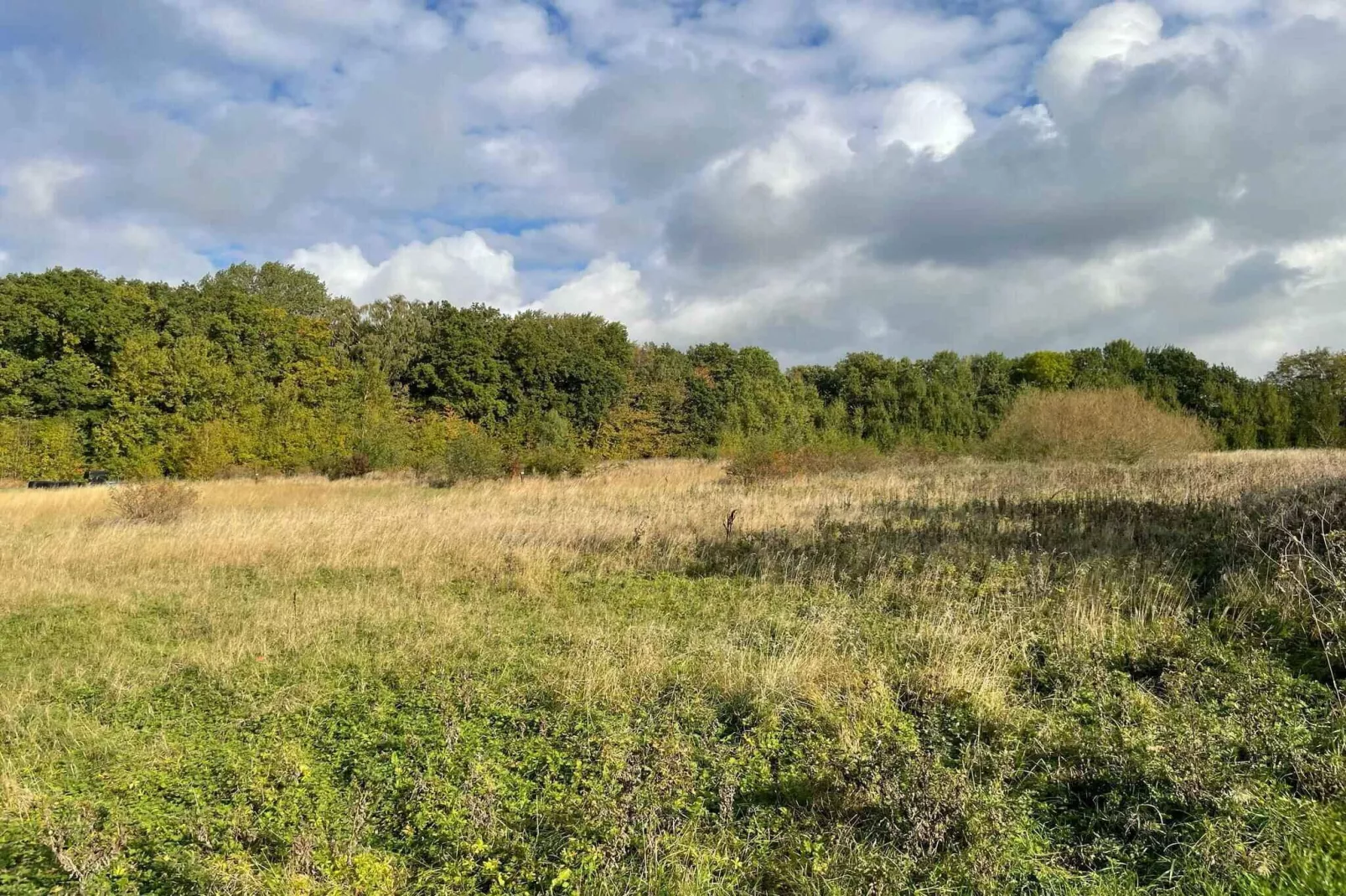 4 sterren vakantie huis in Rønne