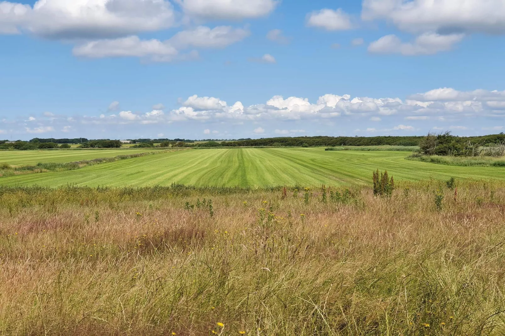 6 persoons vakantie huis in Ulfborg-Niet-getagd