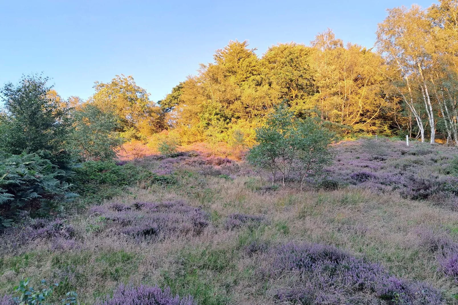 8 persoons vakantie huis in Gjern-Niet-getagd