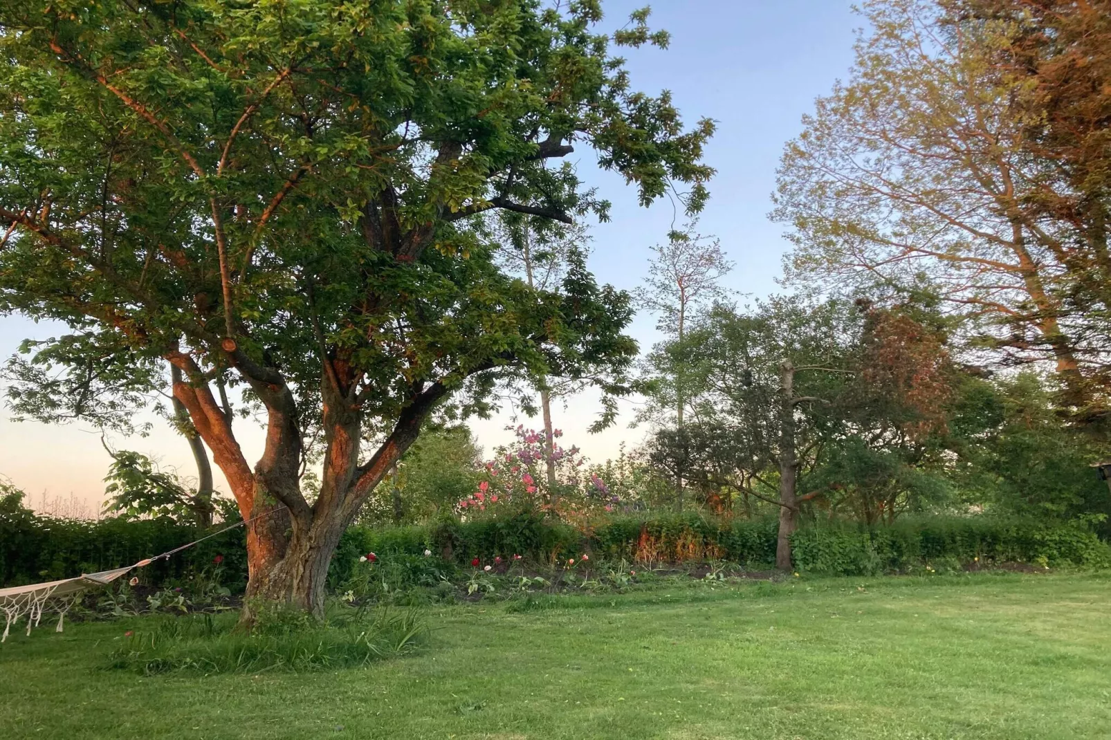 6 persoons vakantie huis in Ansager