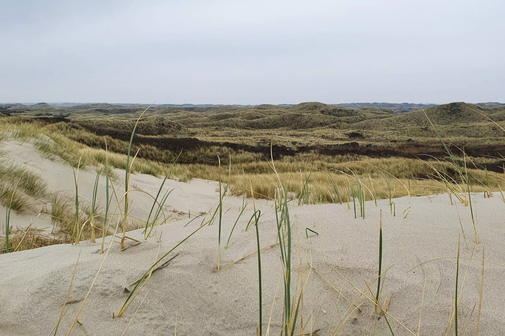 Luxe oase in Blavand-By Traum-Niet-getagd