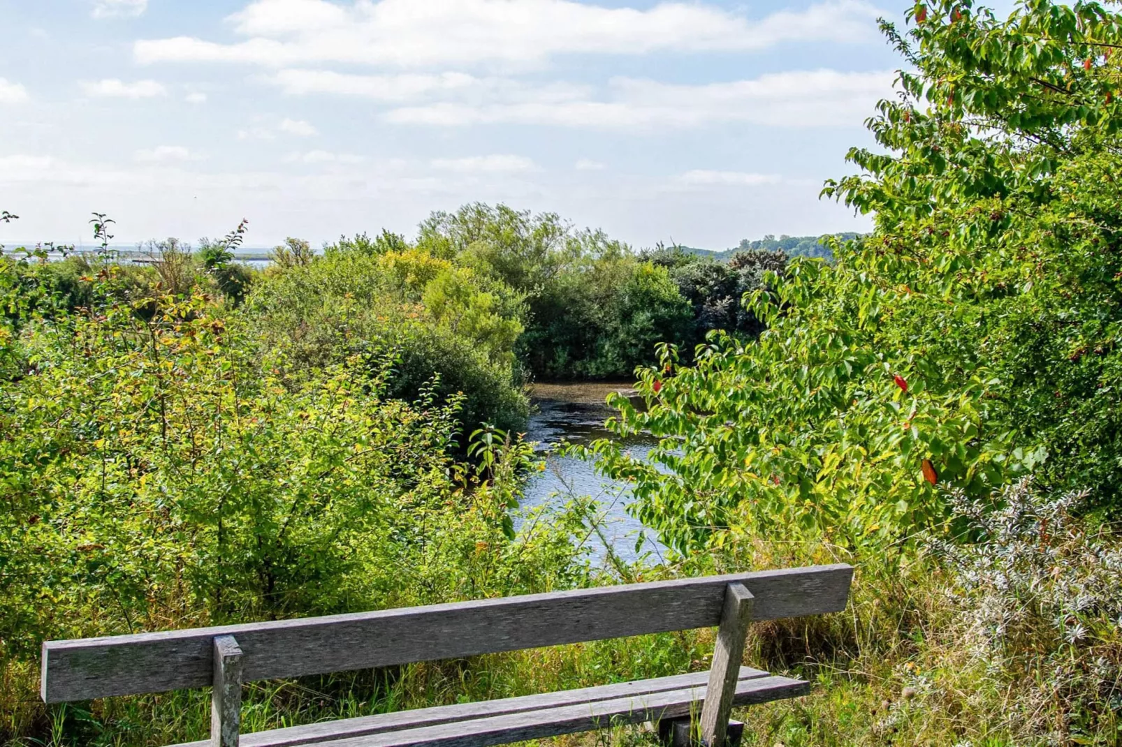4 persoons vakantie huis in Assens-Waterzicht