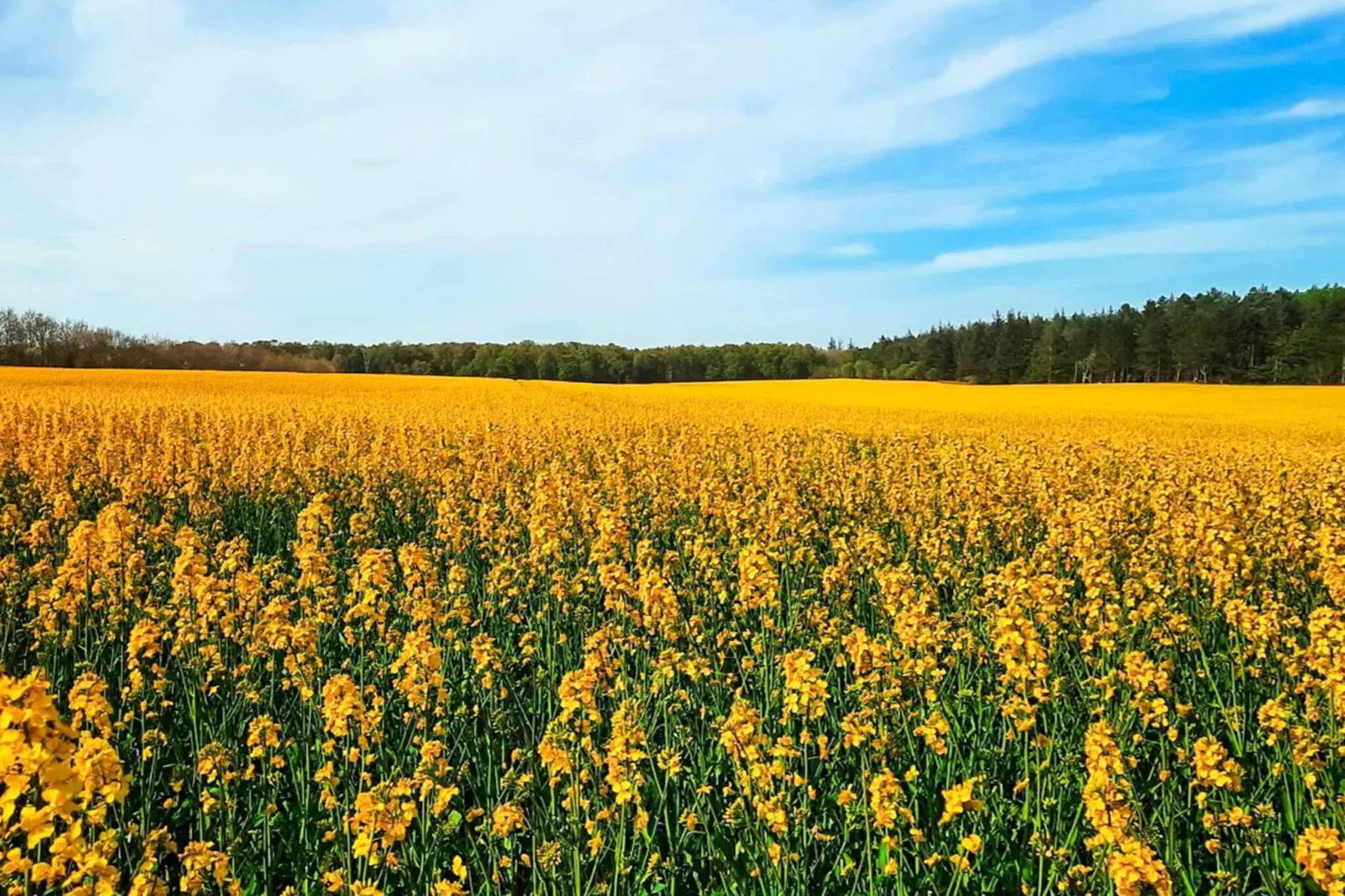 6 persoons vakantie huis in Glesborg-Buitenlucht