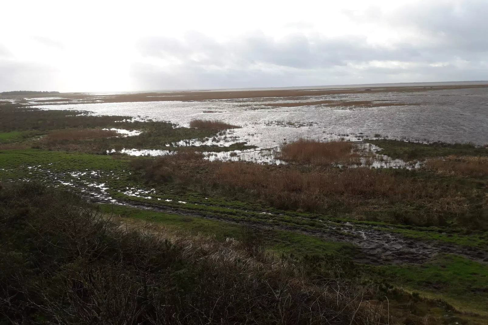 4 persoons vakantie huis in Bøvlingbjerg-Waterzicht