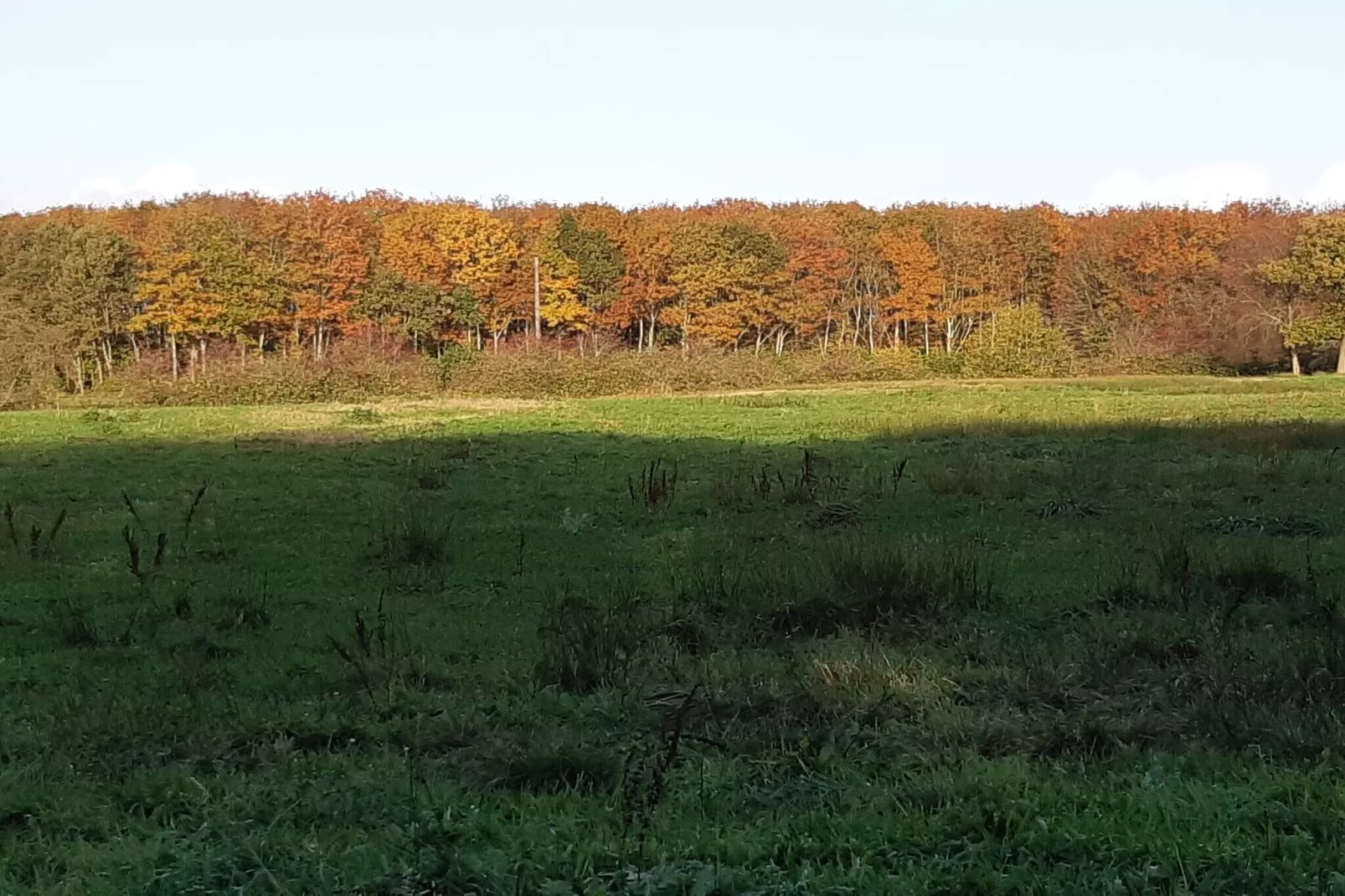 6 persoons vakantie huis in Toftlund-Buitenlucht
