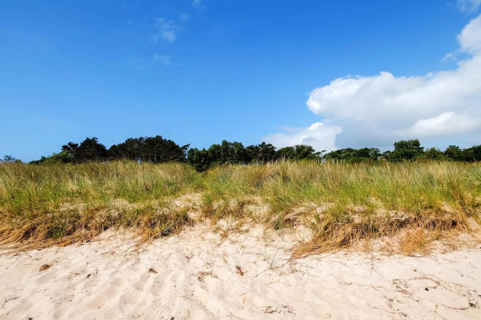 8 persoons vakantie huis in Væggerløse