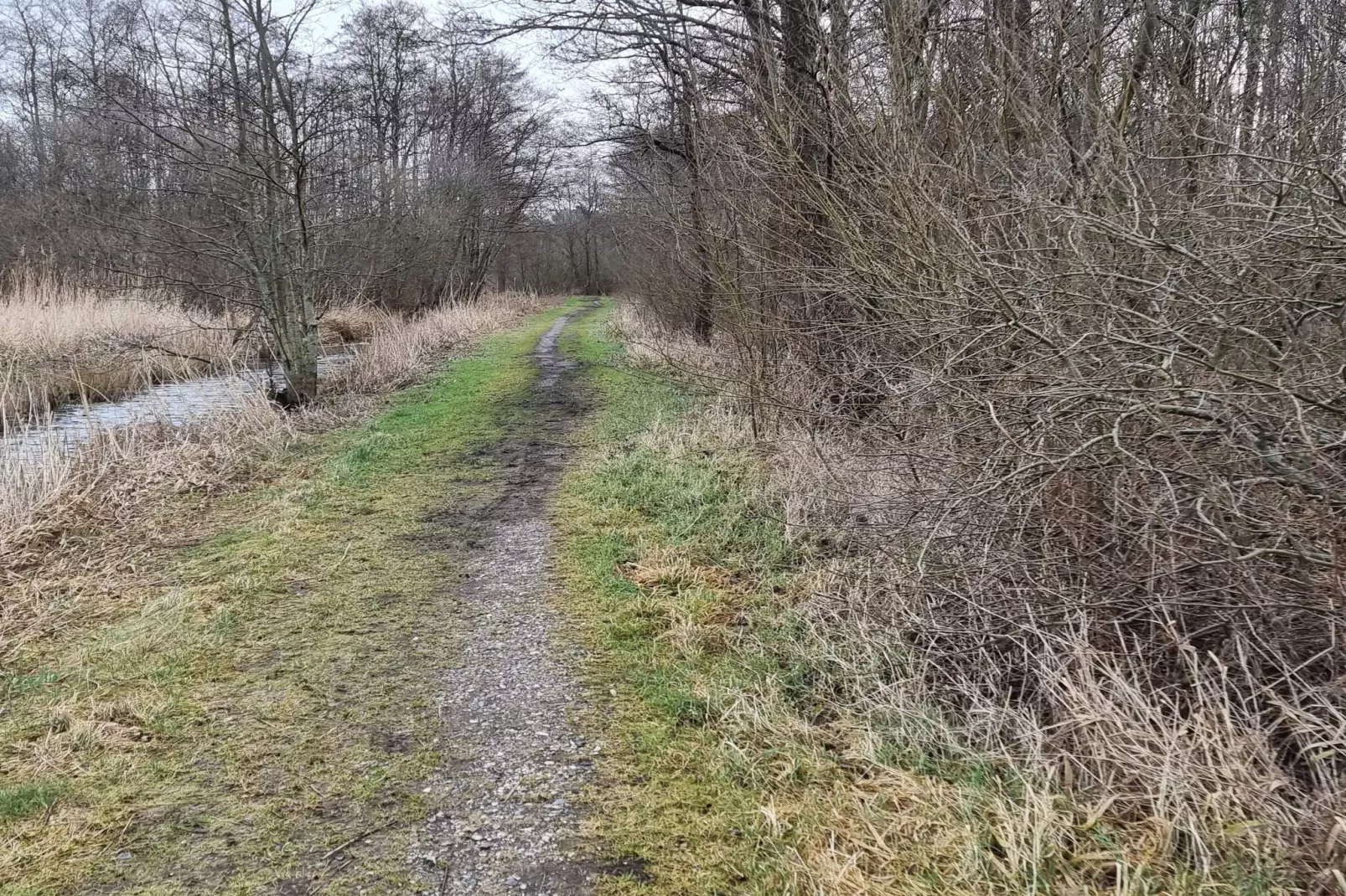 6 persoons vakantie huis in Ebeltoft-Niet-getagd