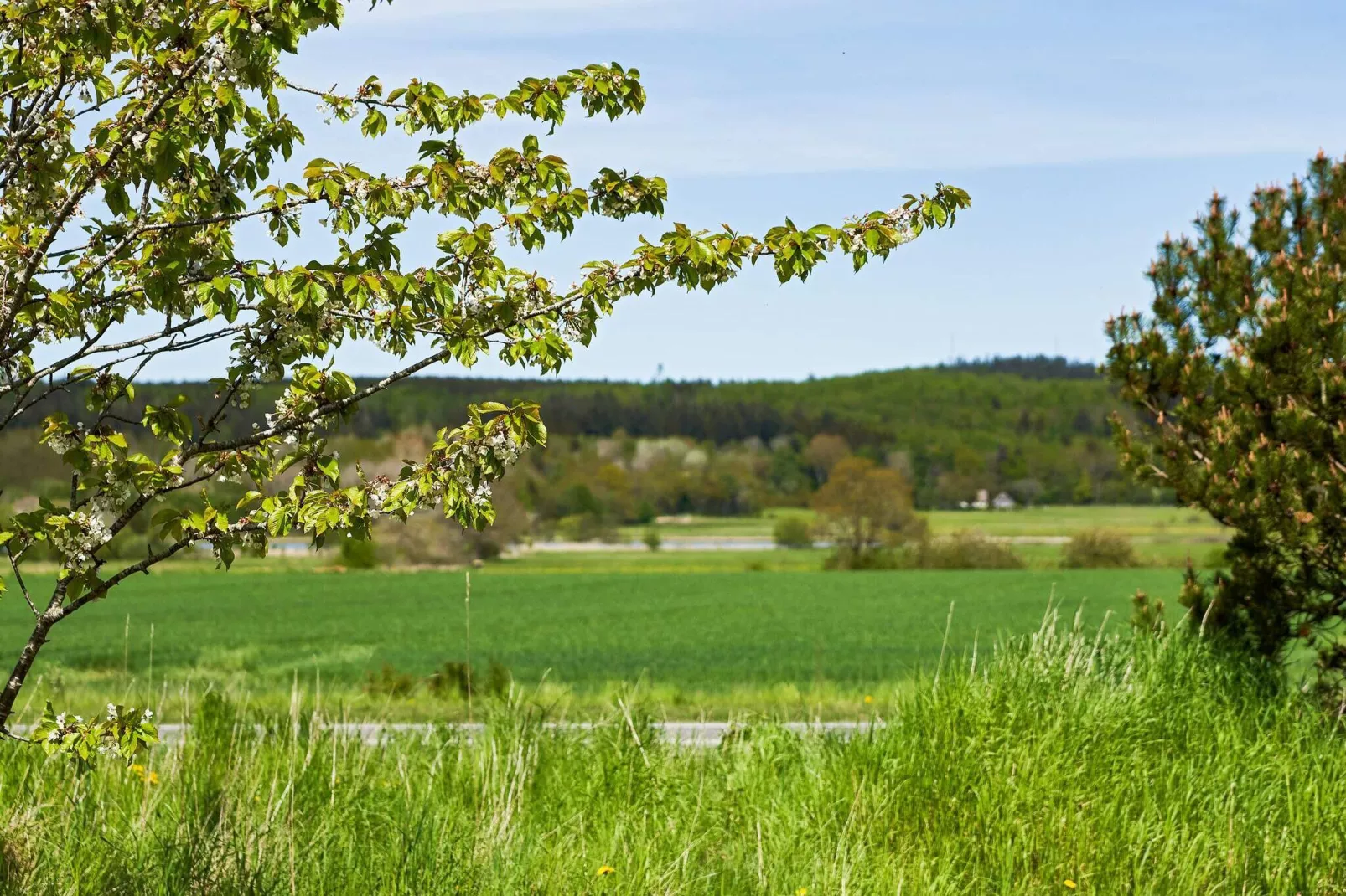 10 persoons vakantie huis in Aakirkeby-Uitzicht