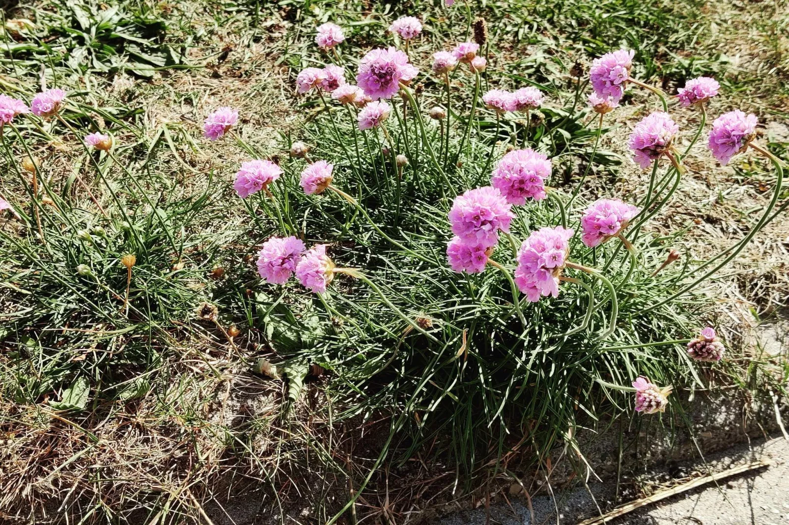 Rustig toevluchtsoord in Thorsminde-By Traum