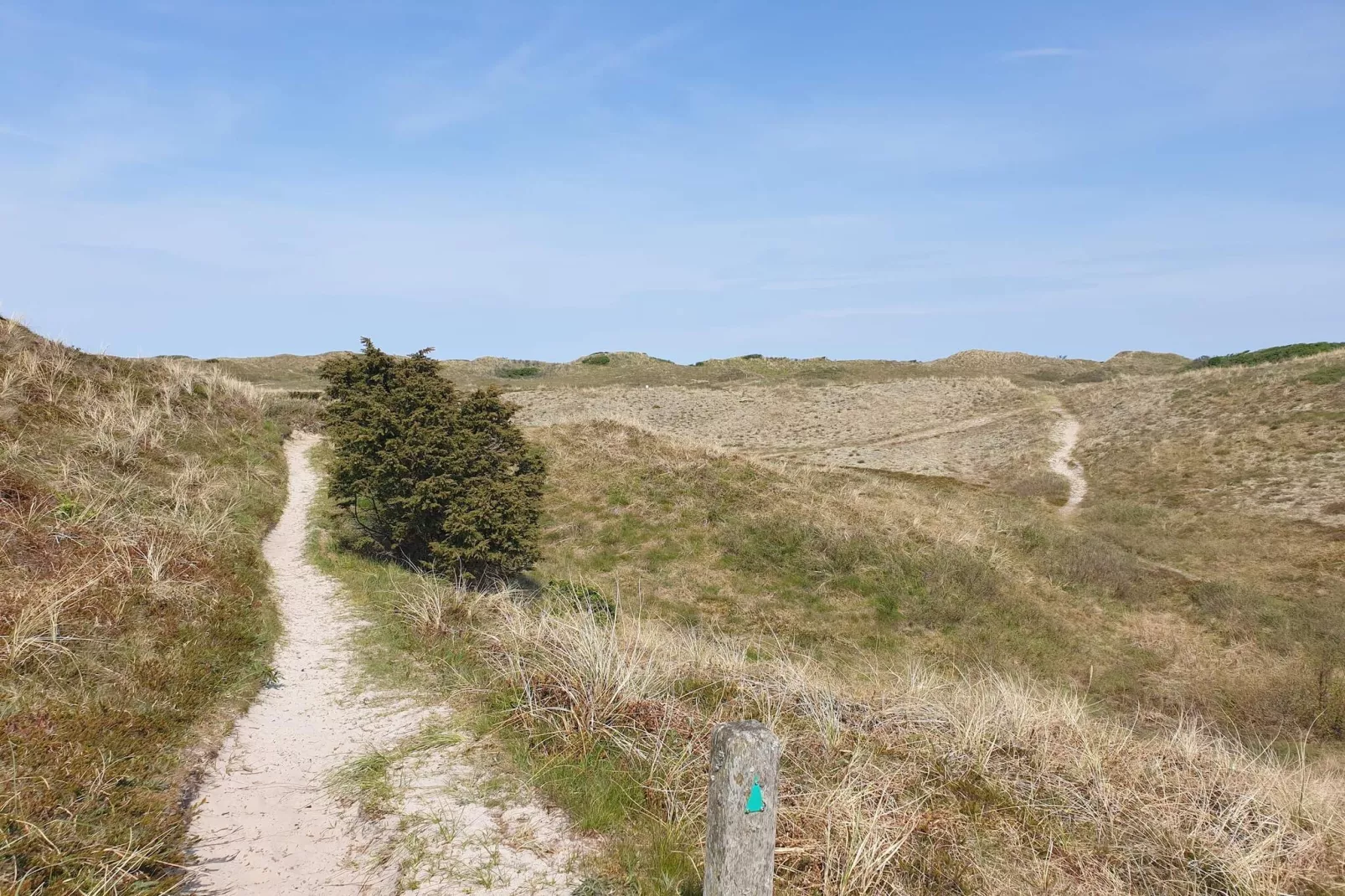 4 persoons vakantie huis in Bindslev