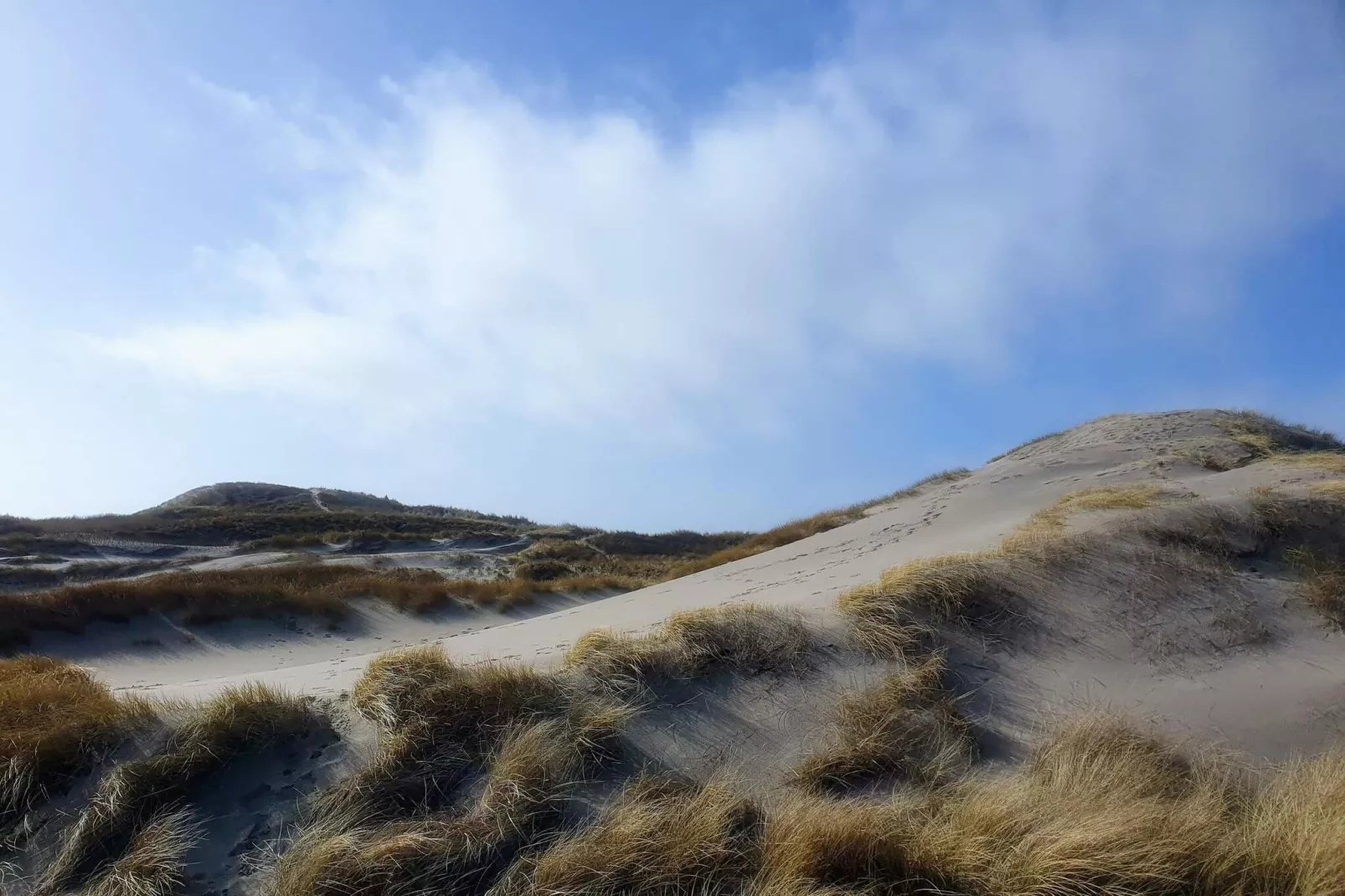 4 persoons vakantie huis in Ringkøbing-Niet-getagd