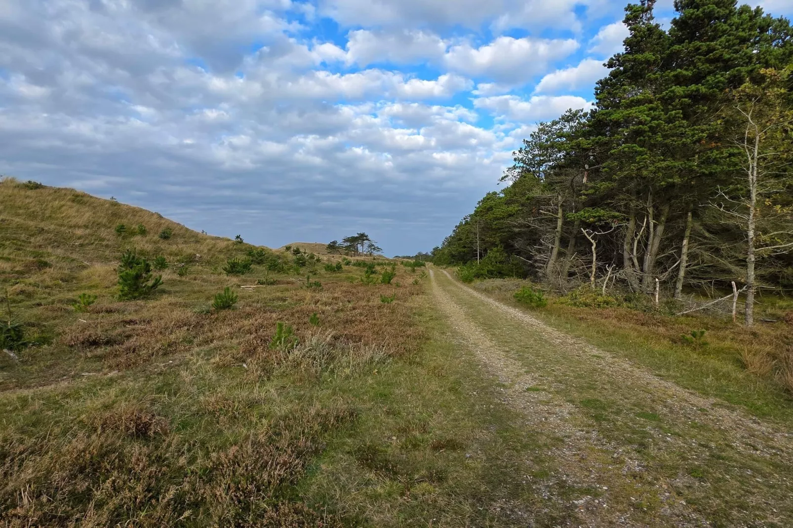 14 persoons vakantie huis in Ulfborg