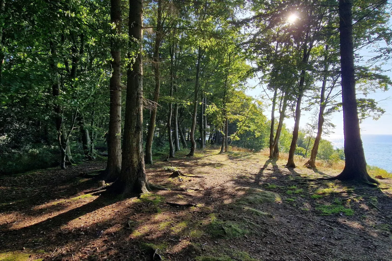 8 persoons vakantie huis in Børkop-Niet-getagd