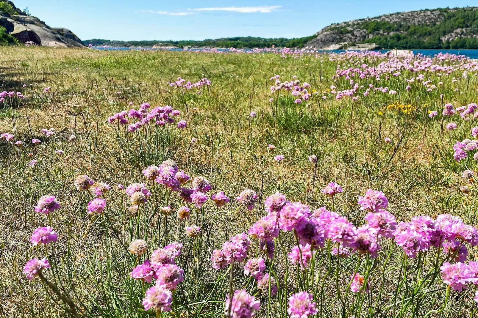 10 persoons vakantie huis in Brastad-Niet-getagd