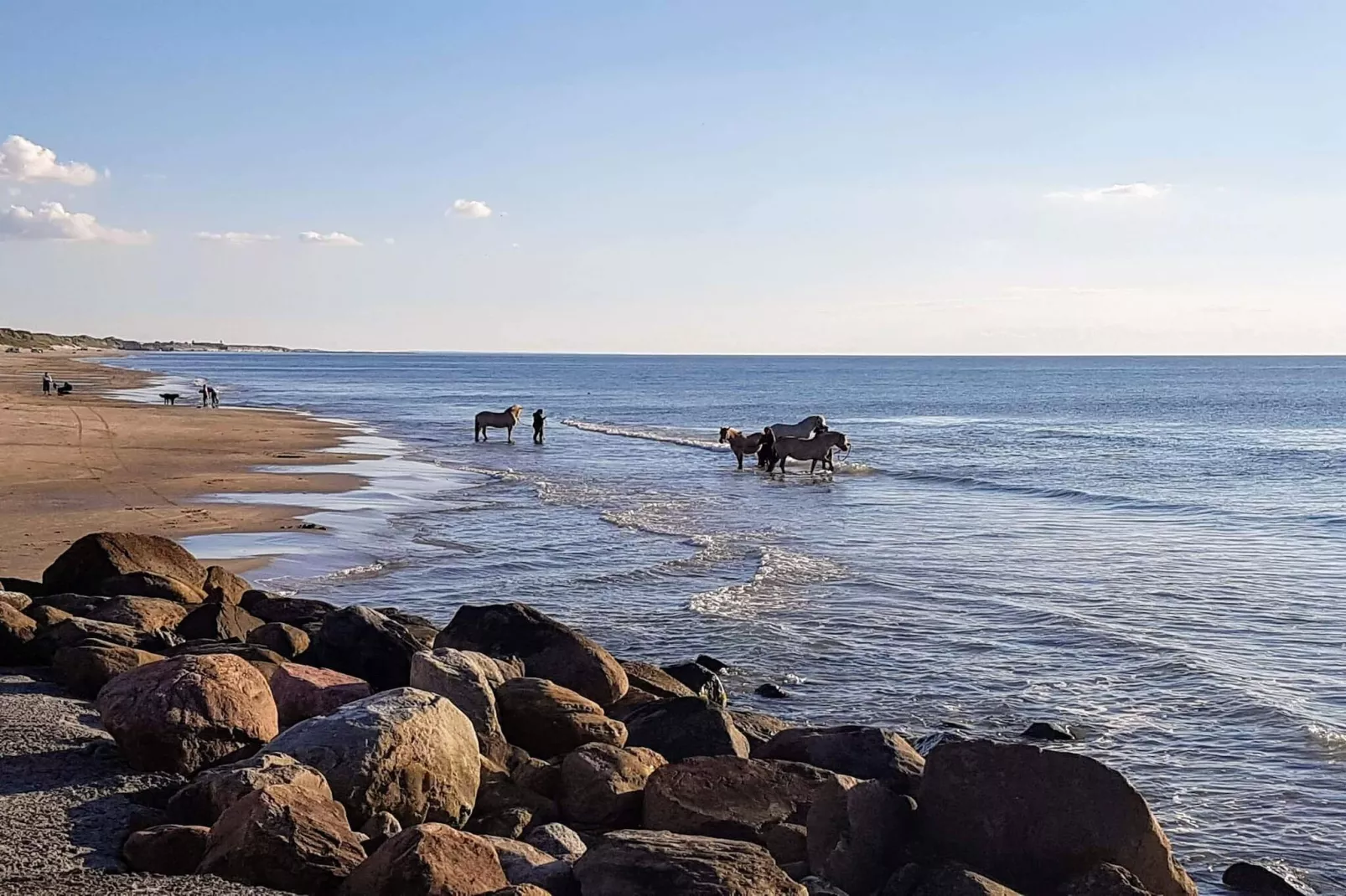 Rustig huisje toevluchtsoord in Lokken-By Traum