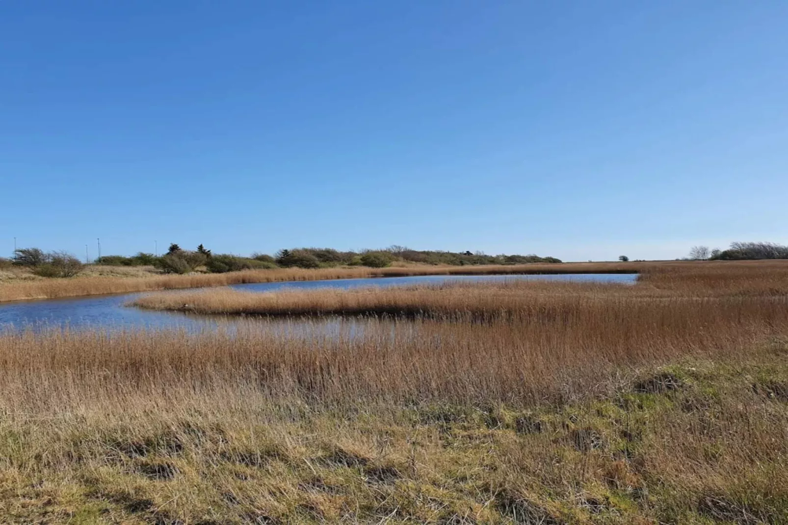 Retro Strandverblijf in Gedesby