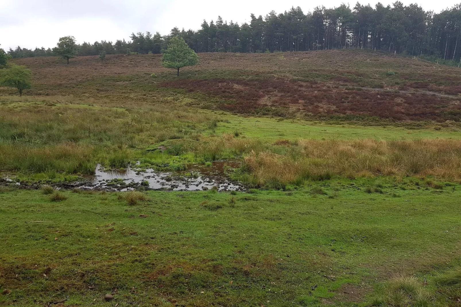 Lichte Cottage-oase in Silkeborg-By Traum-Niet-getagd