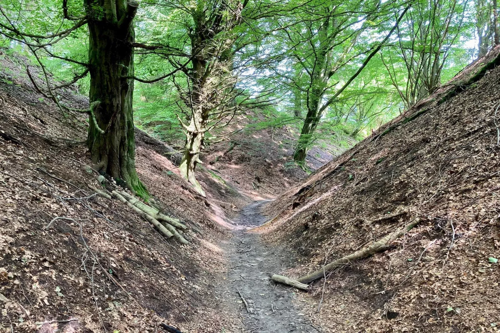 Kustsereniteit bij Tranum Beach-By Traum-Niet-getagd