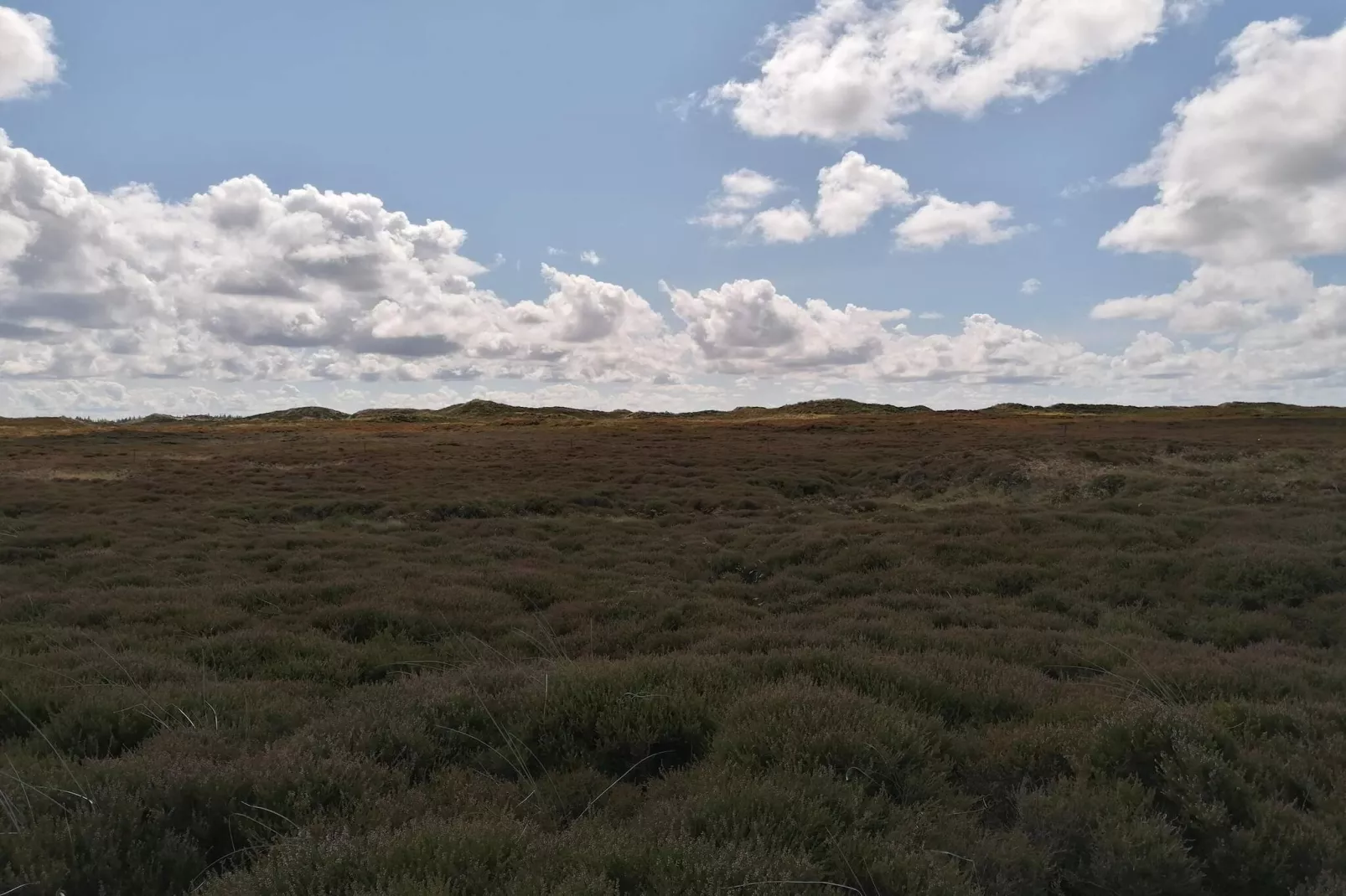 6 persoons vakantie huis in Henne-Niet-getagd