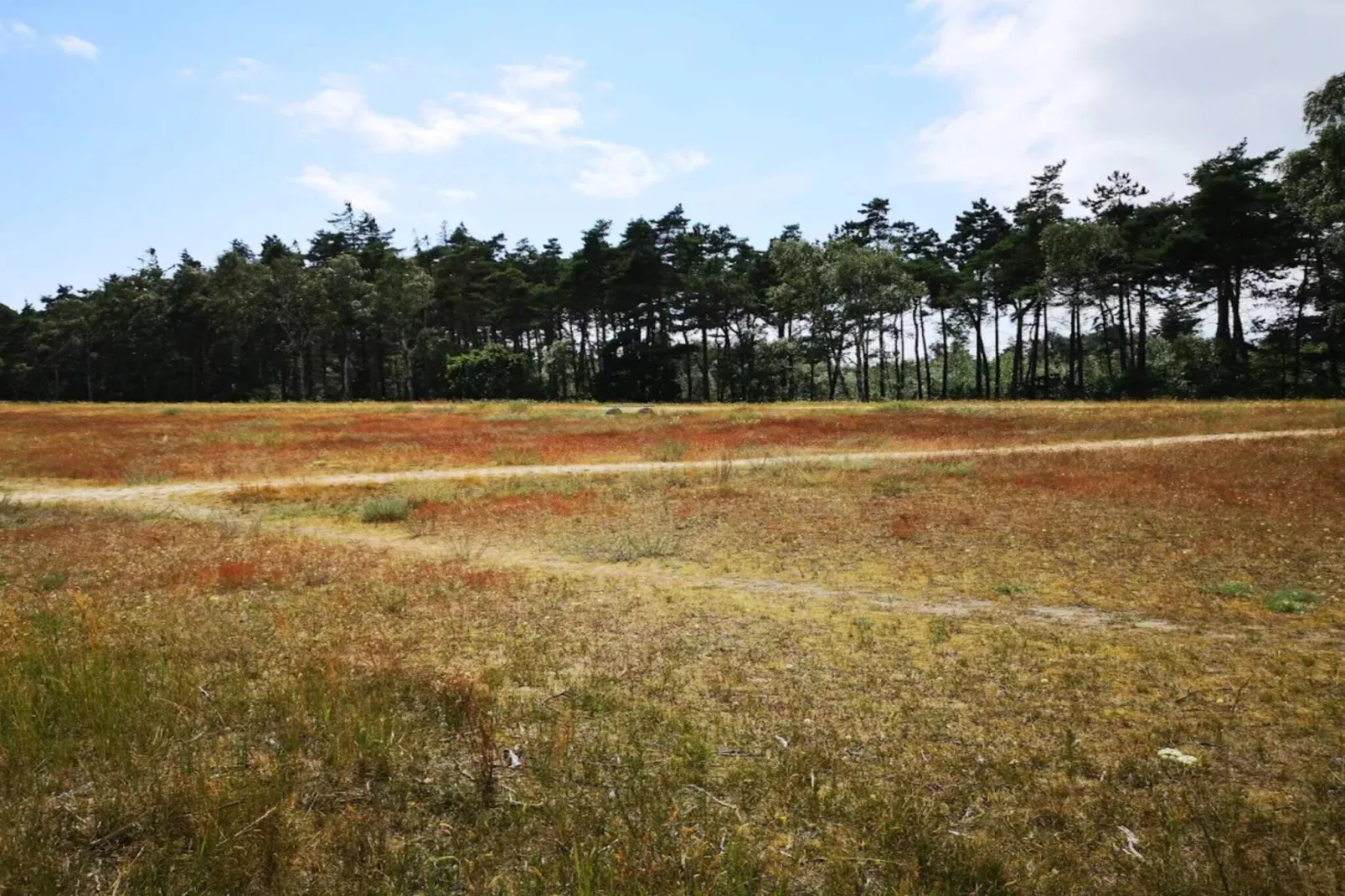 3 room,renovated-Niet-getagd