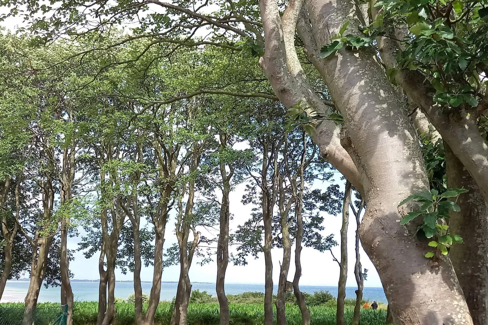 5 persoons vakantie huis in Sydals-Niet-getagd