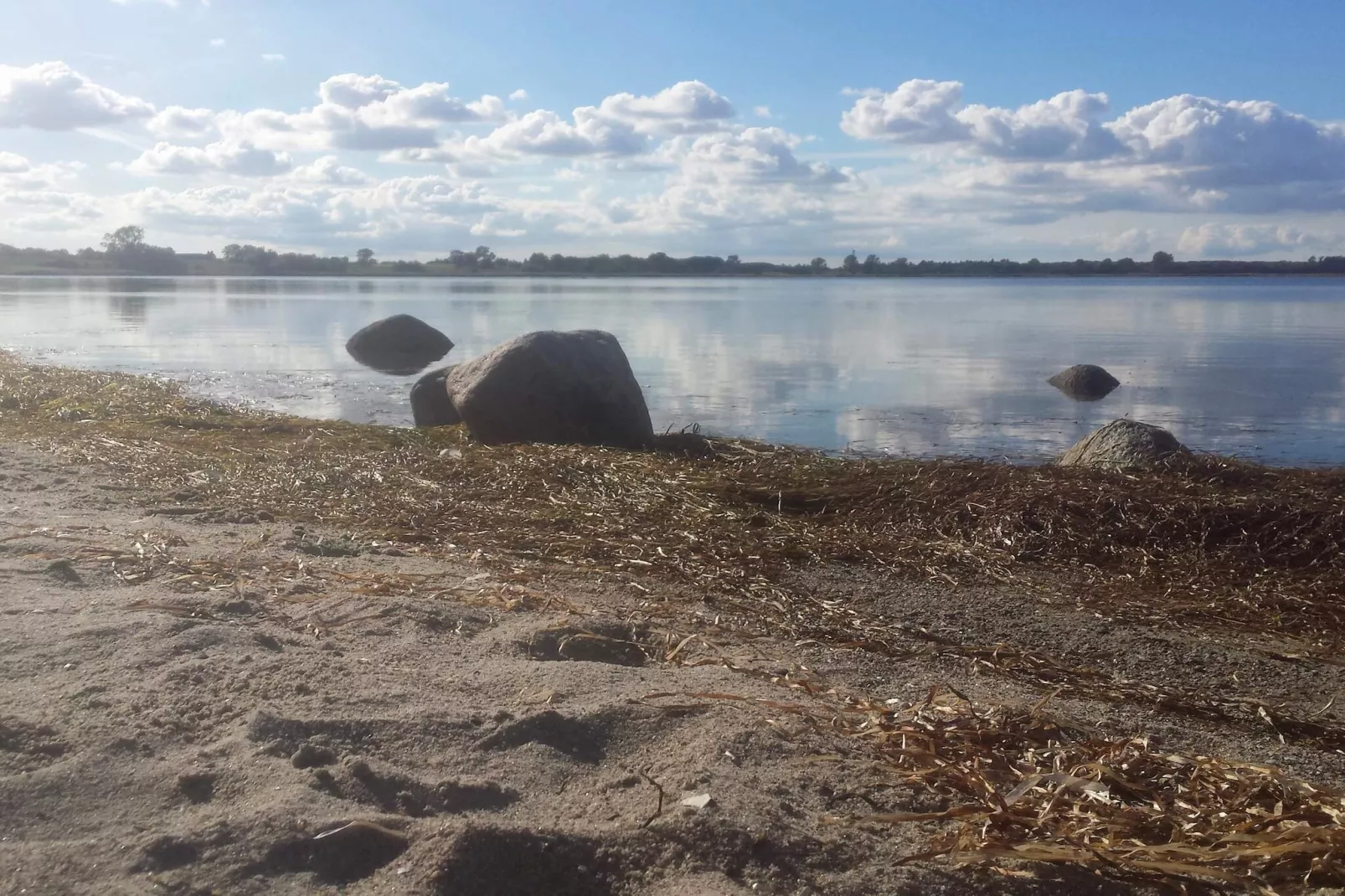 5 persoons vakantie huis in Bogø By-Waterzicht