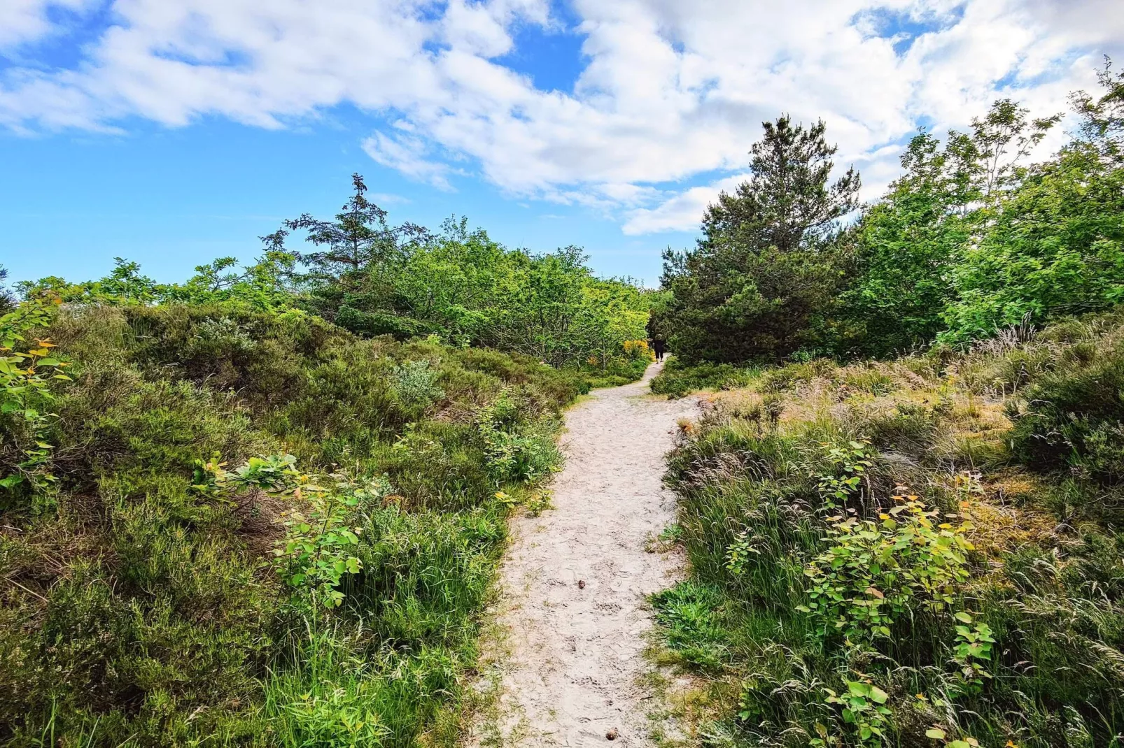 8 persoons vakantie huis in Hals-Niet-getagd