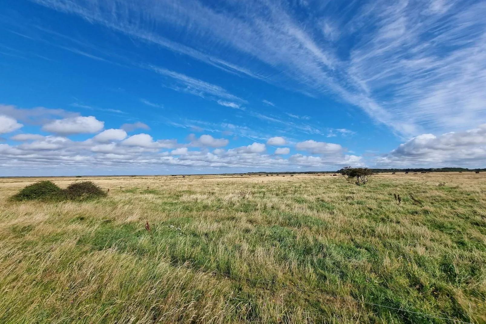 8 persoons vakantie huis in Hemmet