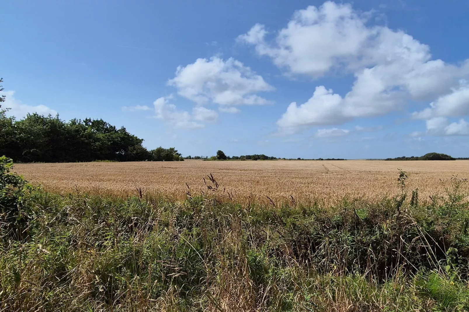 SKÆRBÆKCENTRET-Niet-getagd