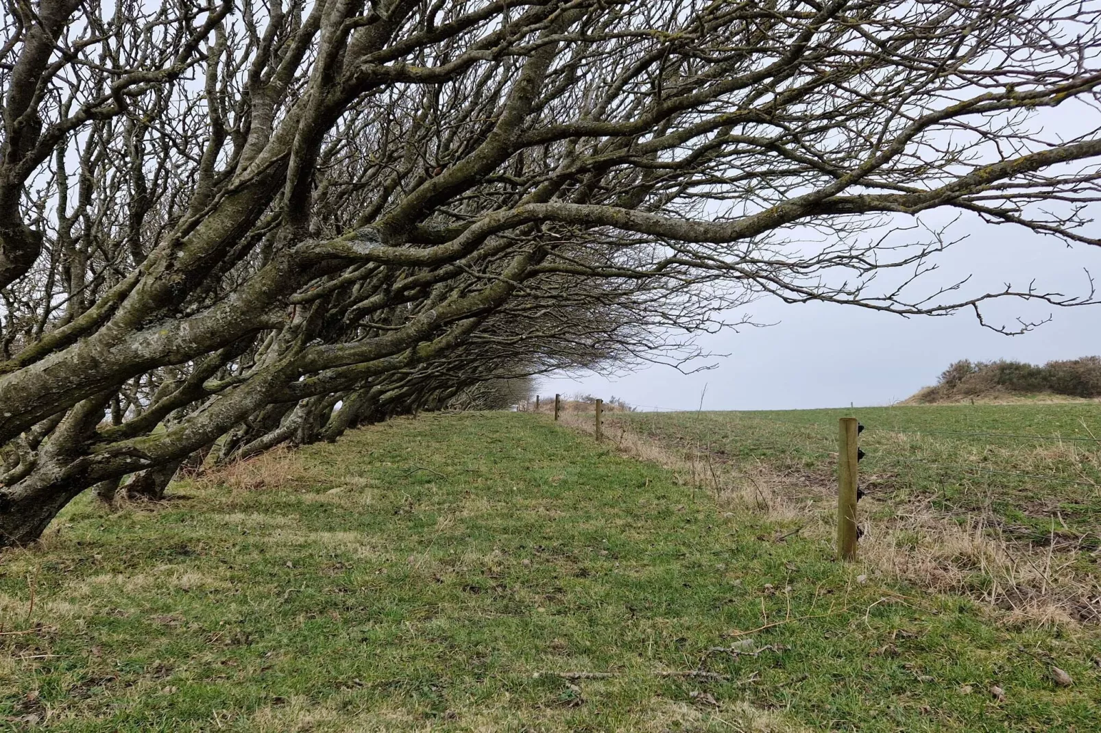 8 persoons vakantie huis in Spøttrup-By Traum
