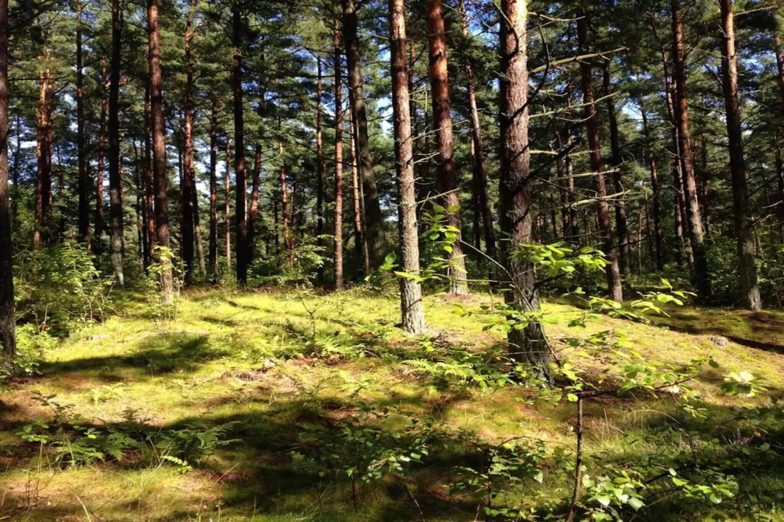 6 persoons vakantie huis in Löderup-By Traum-Niet-getagd