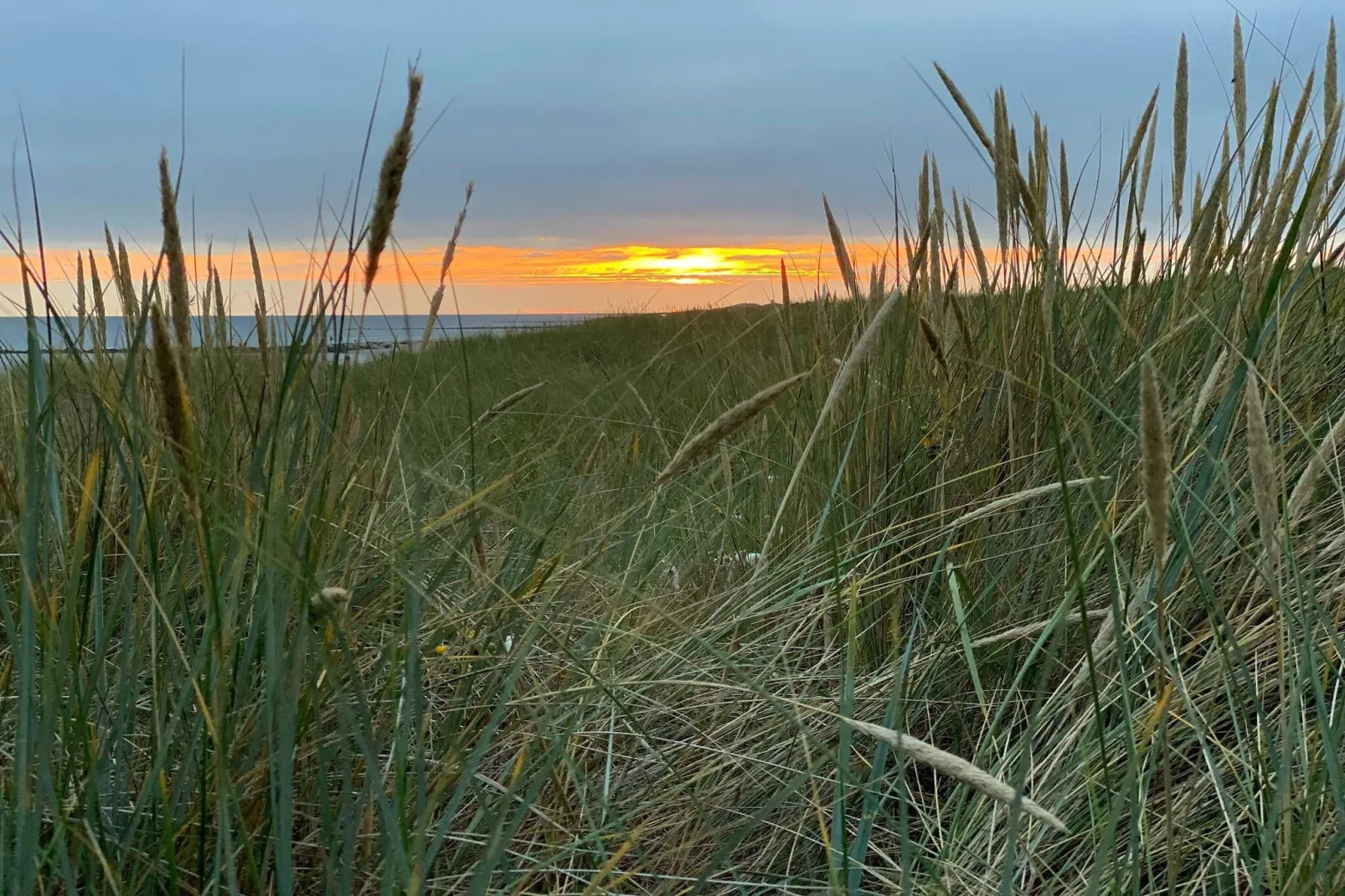 Milieuvriendelijk toevluchtsoord met spa -- By Traum Ferienwohnungen