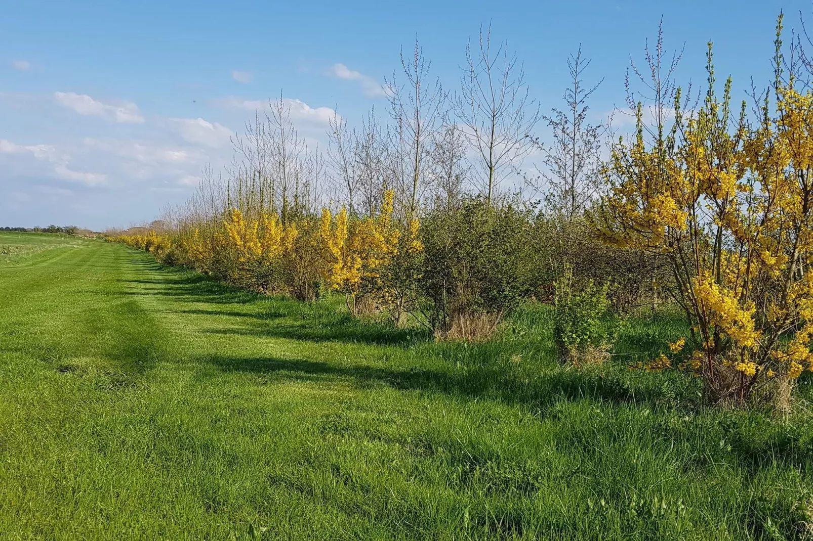 4 persoons vakantie huis in Nykøbing M-By Traum-Niet-getagd