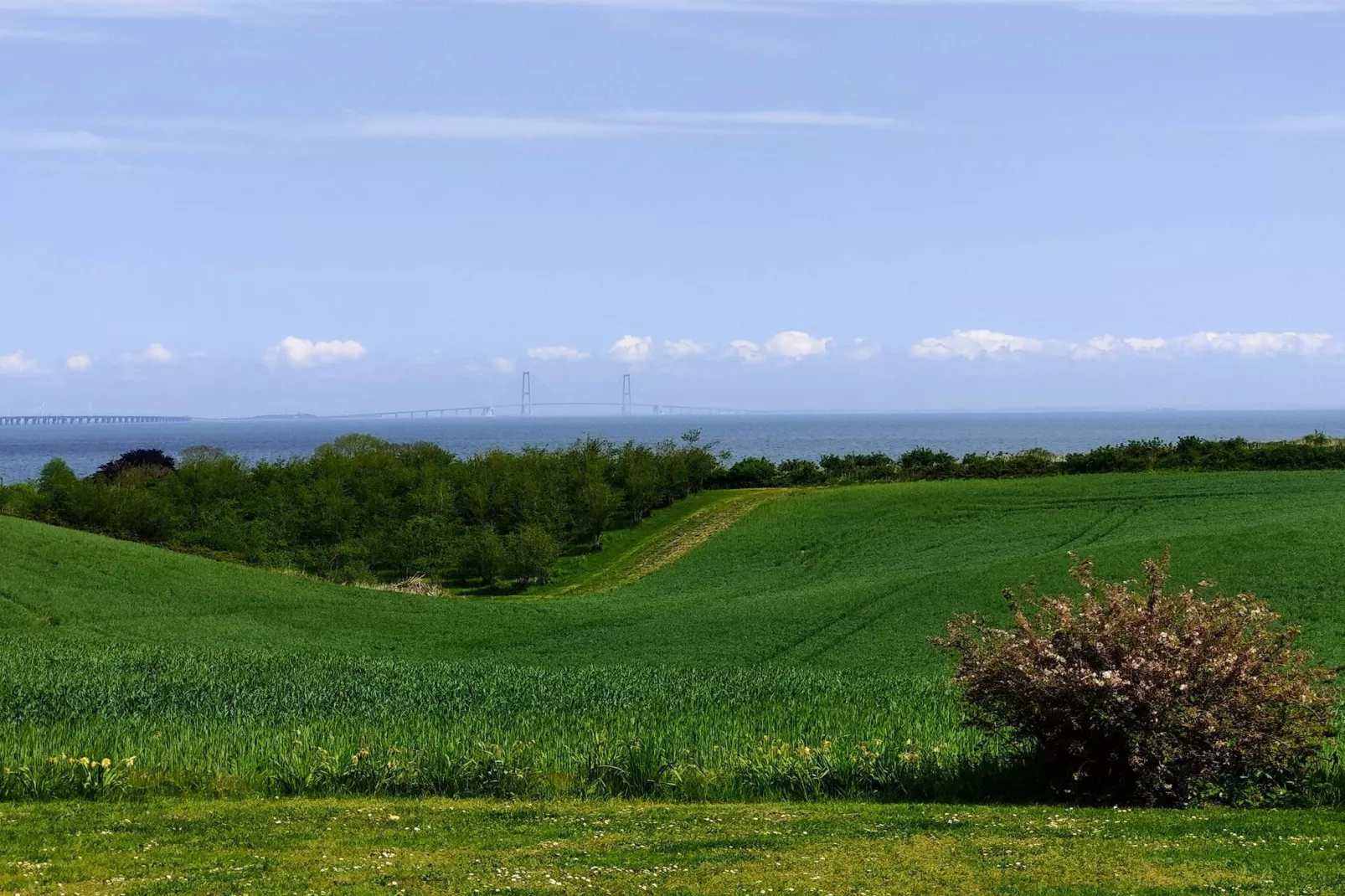 5 persoons vakantie huis in Frørup-By Traum-Niet-getagd