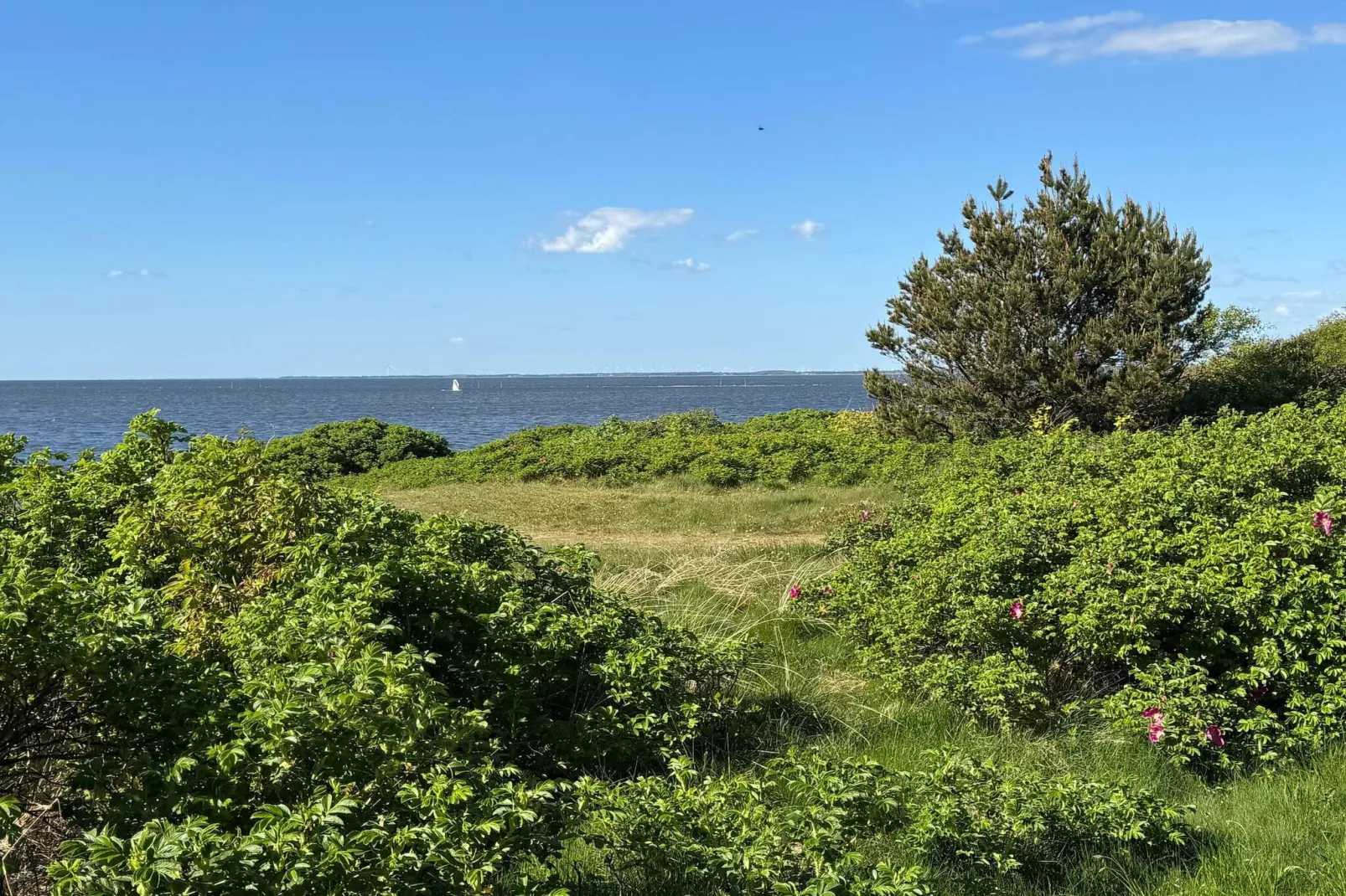 6 persoons vakantie huis in Tarm-Waterzicht