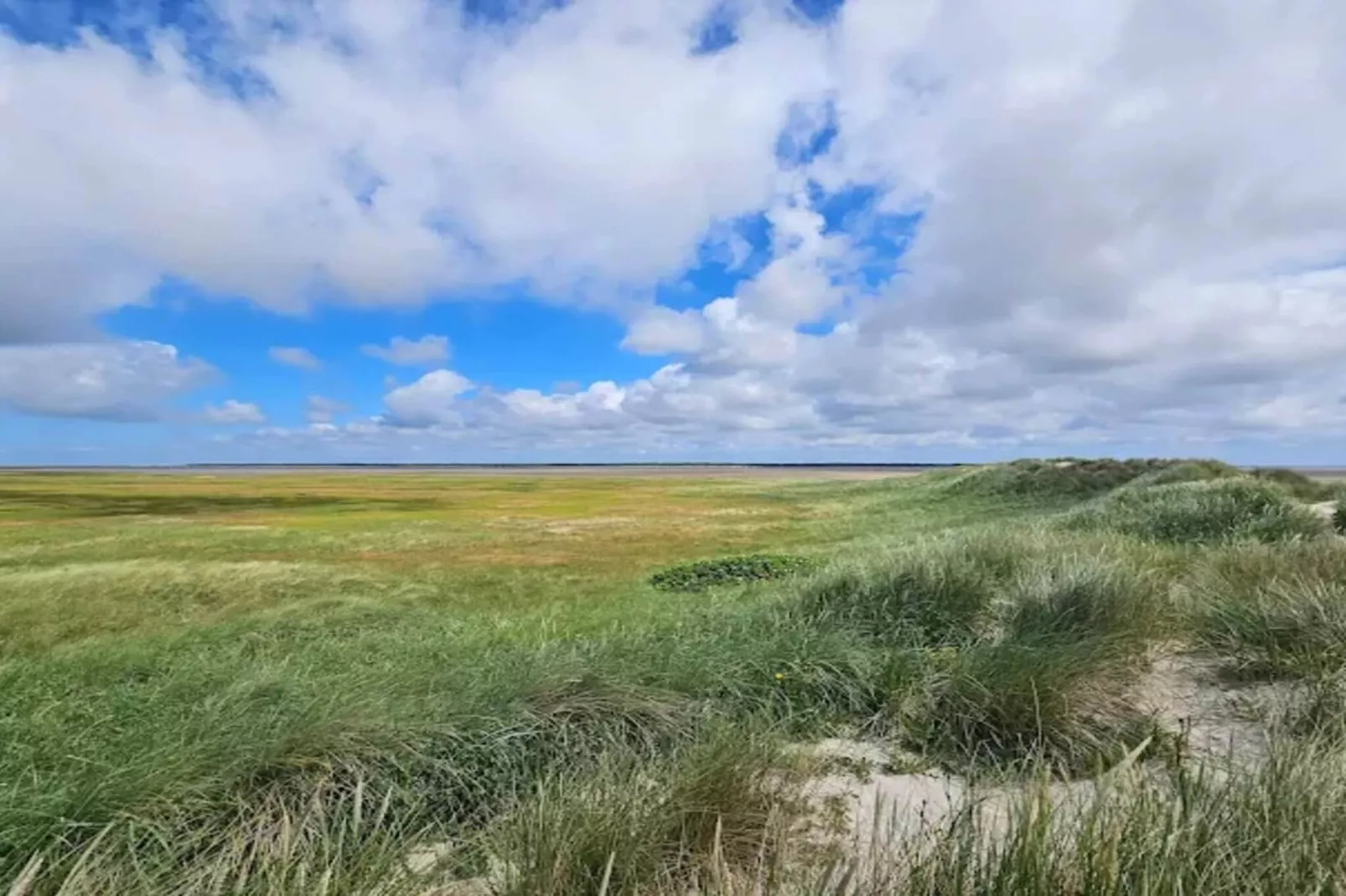 5 persoons vakantie huis in Rømø-By Traum-Niet-getagd