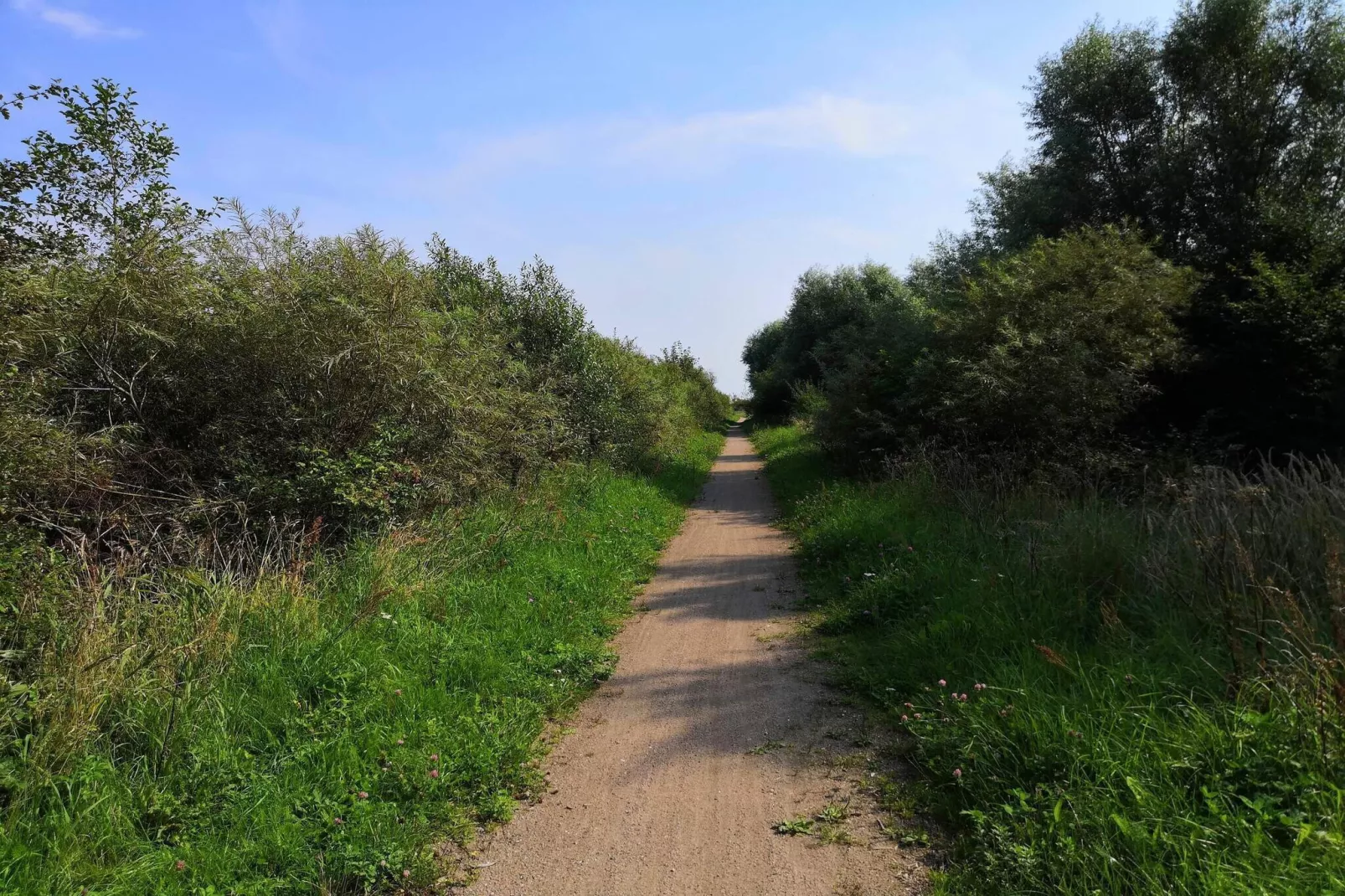 6 persoons vakantie huis in Vesløs-By Traum-Niet-getagd