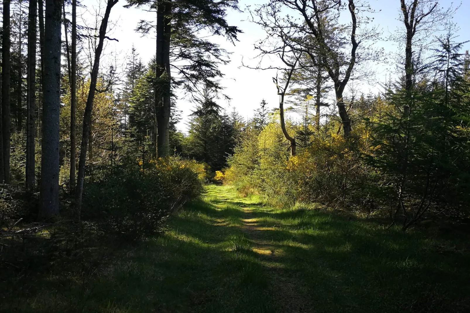 Rustige retraite in Klitmoller -- By Traum Ferienwohnungen