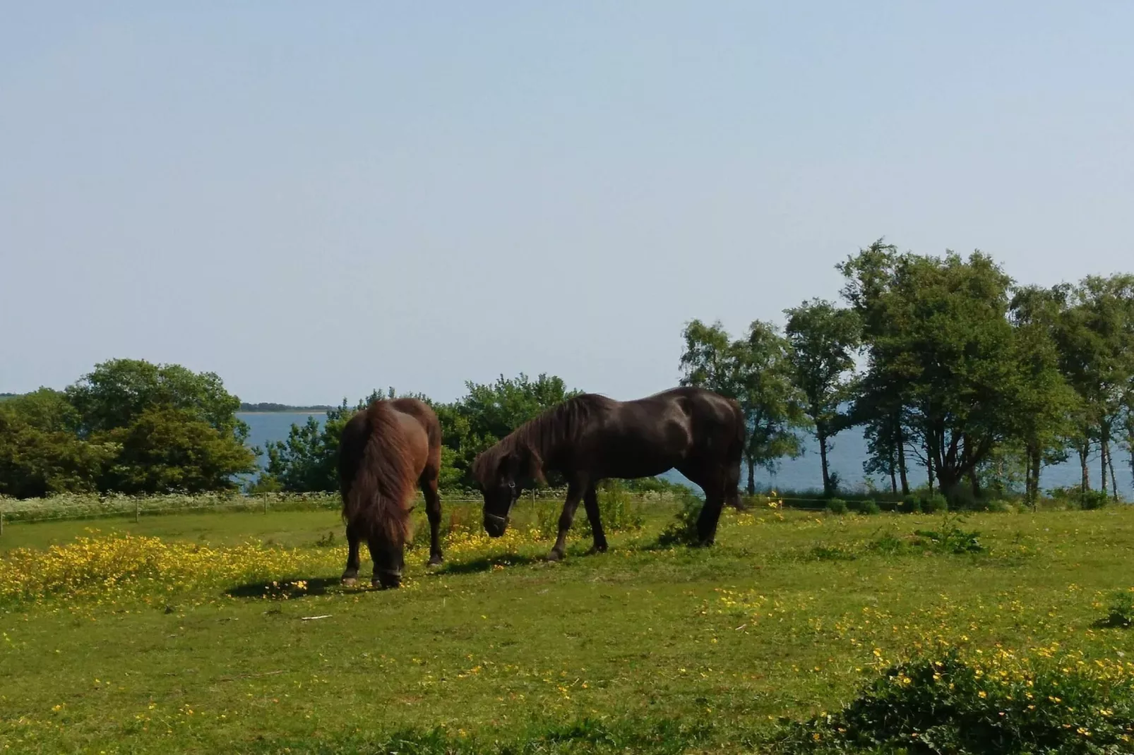 12 persoons vakantie huis in Aabenraa-By Traum-Niet-getagd