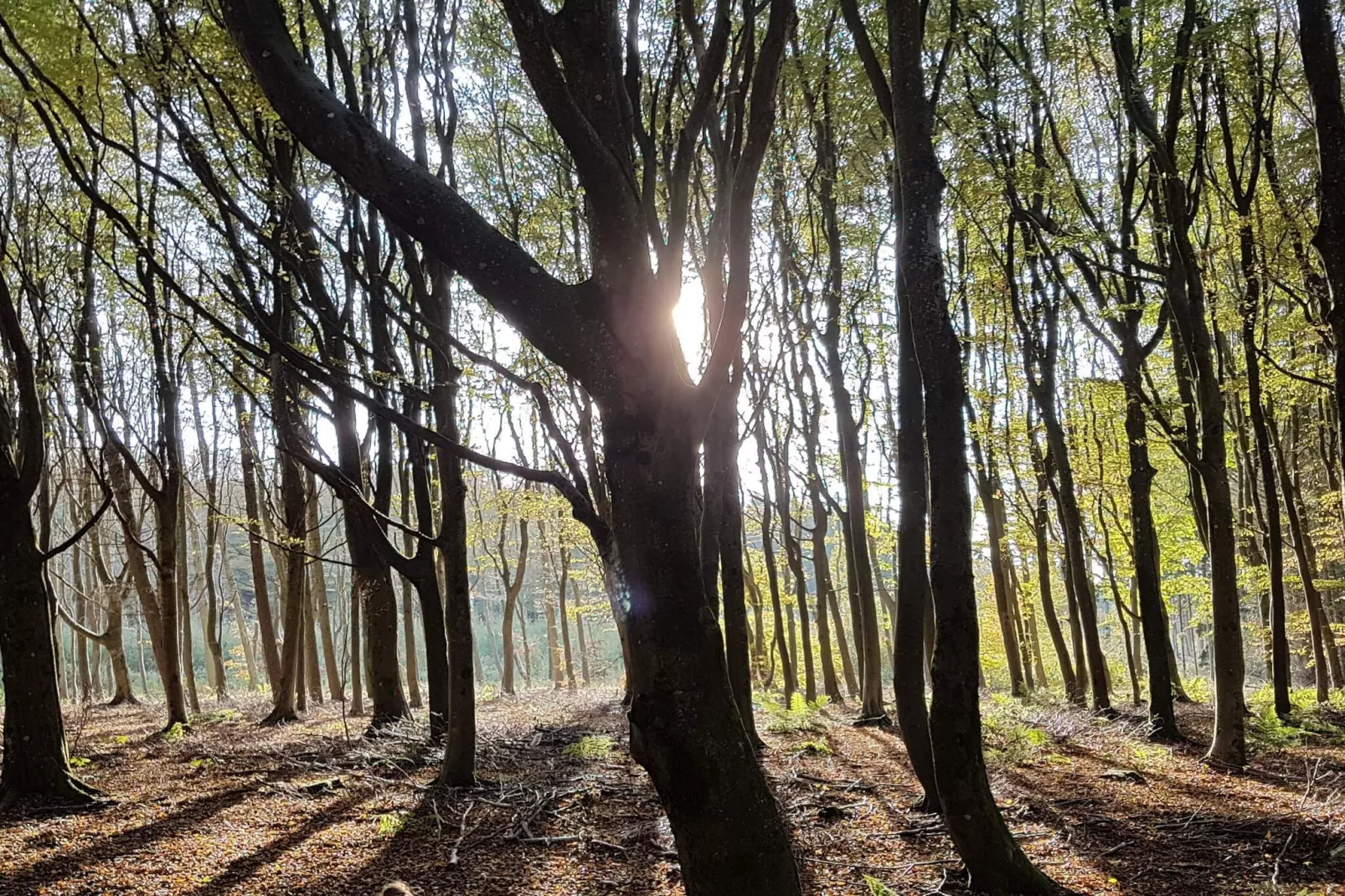 9 persoons vakantie huis in Blokhus-By Traum-Niet-getagd