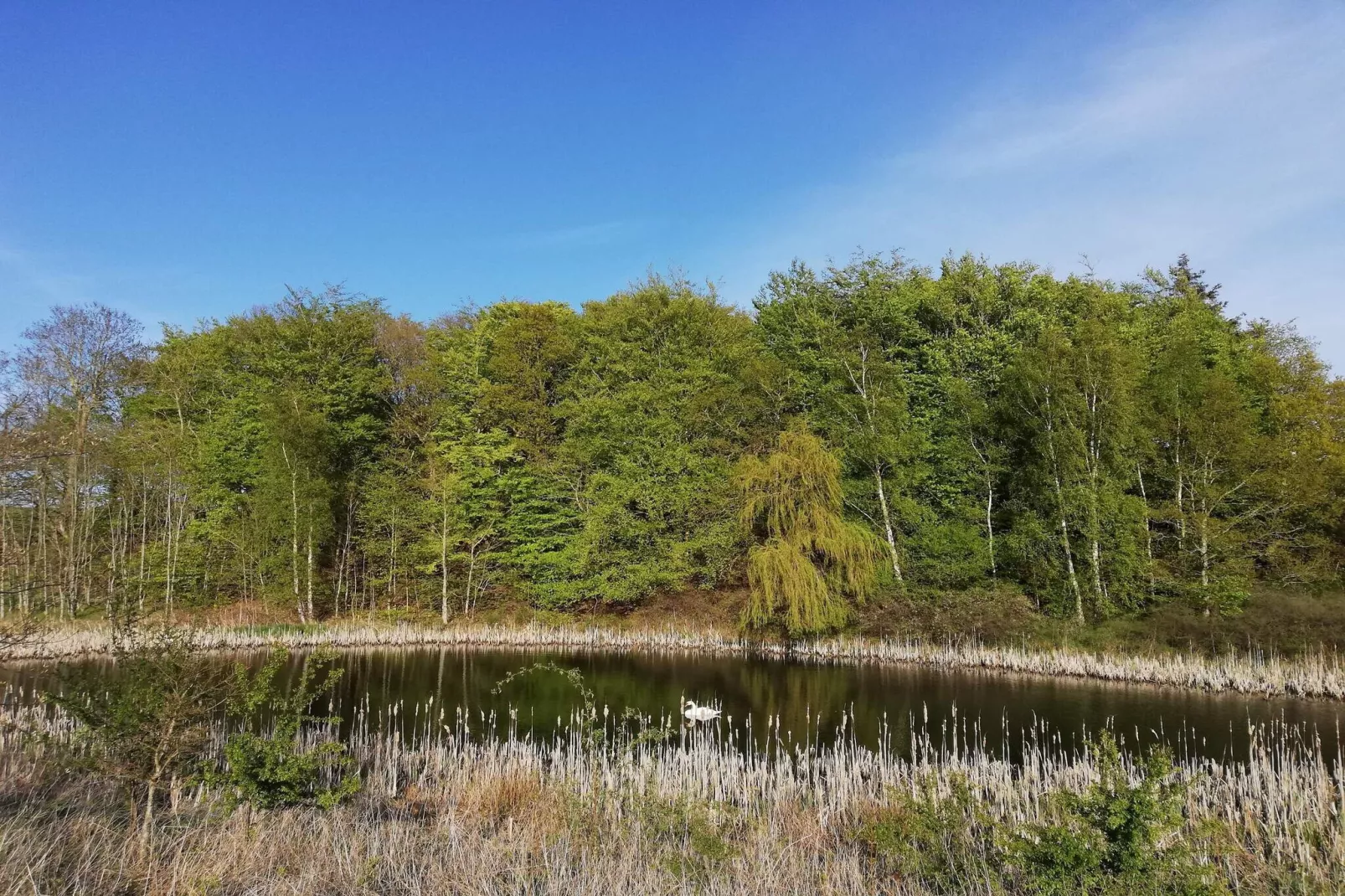 7 persoons vakantie huis in Knebel-By Traum